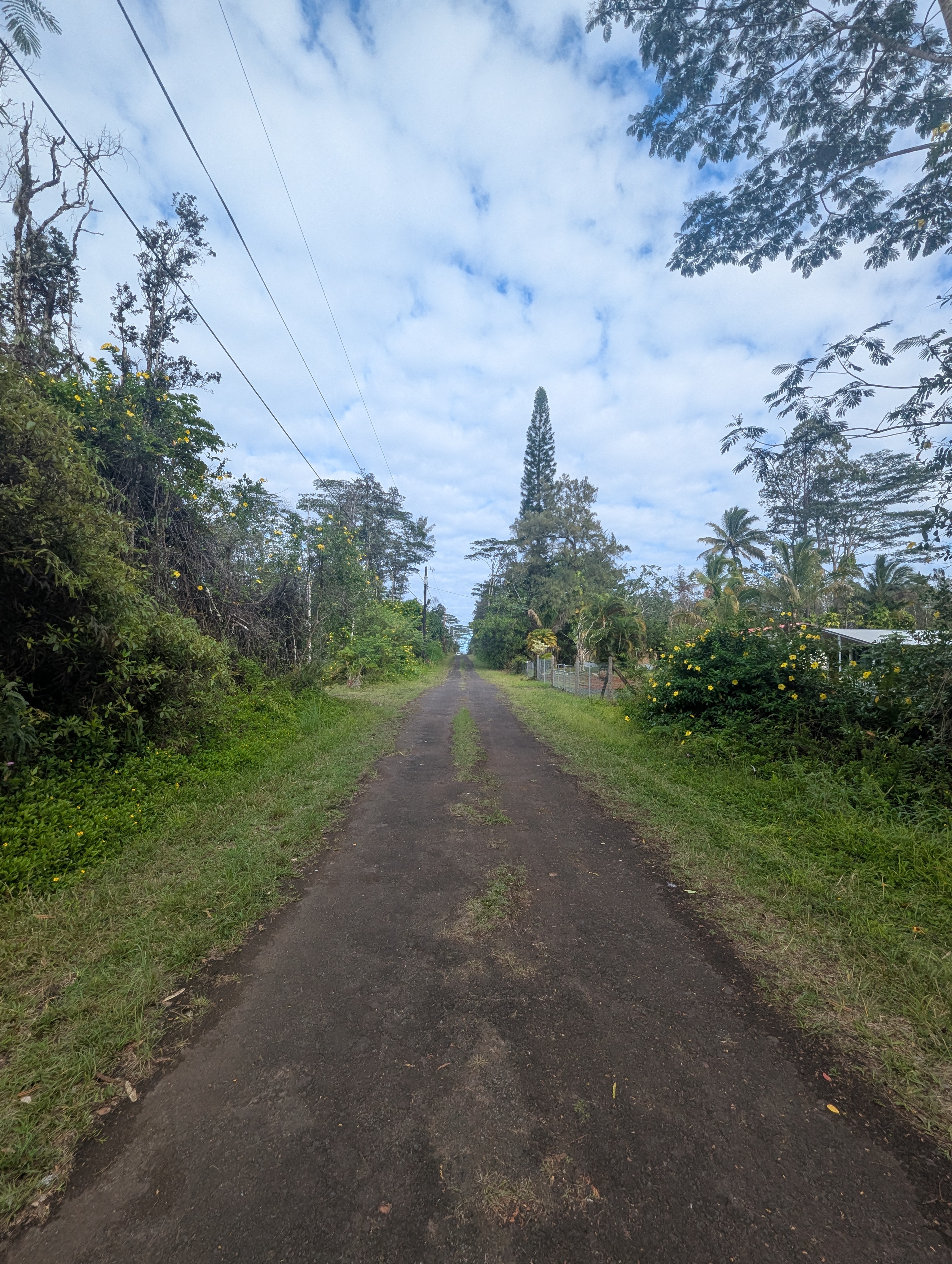 Waimea Rd Property Photo 3