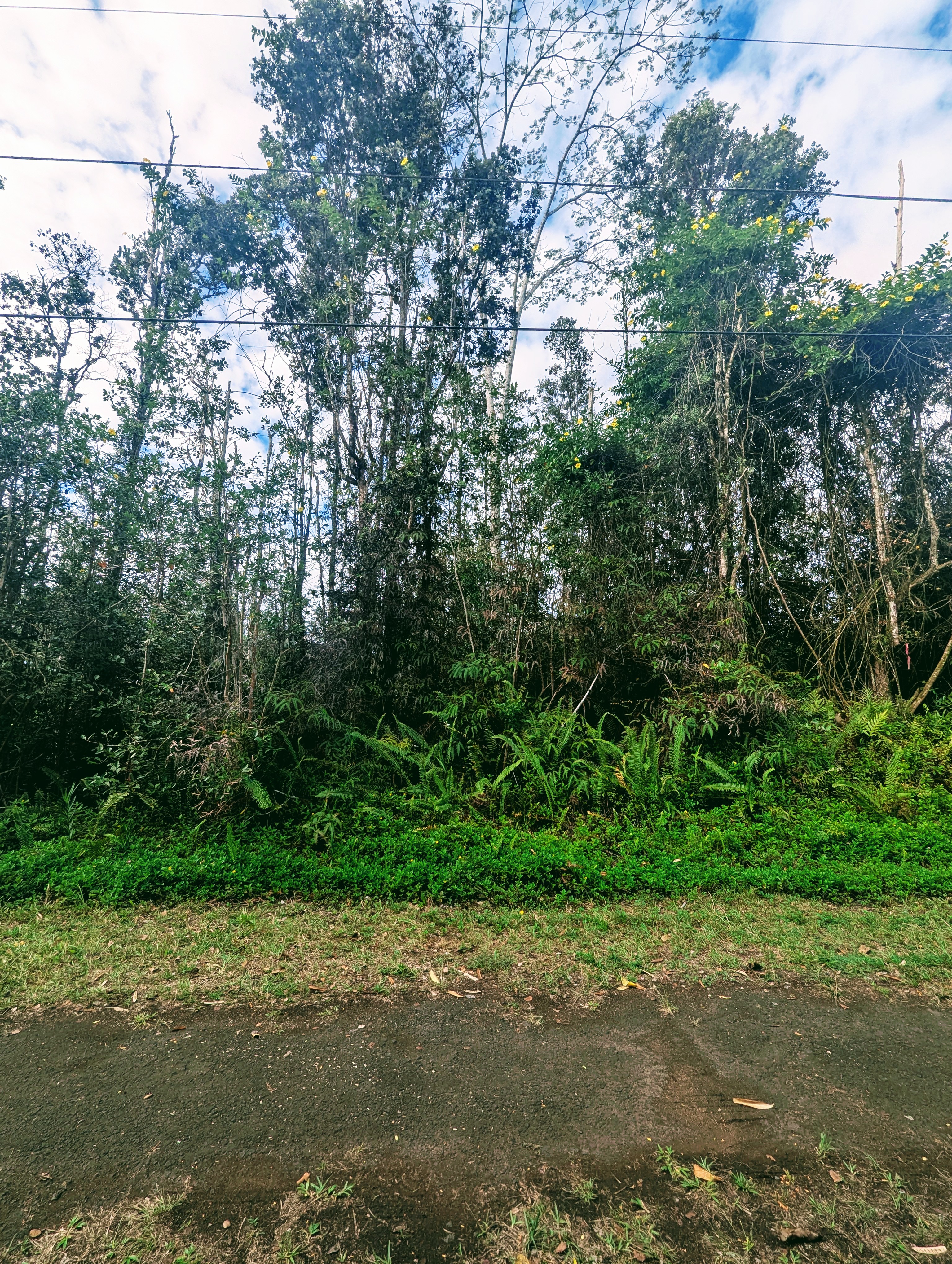 Waimea Rd Property Photo 4