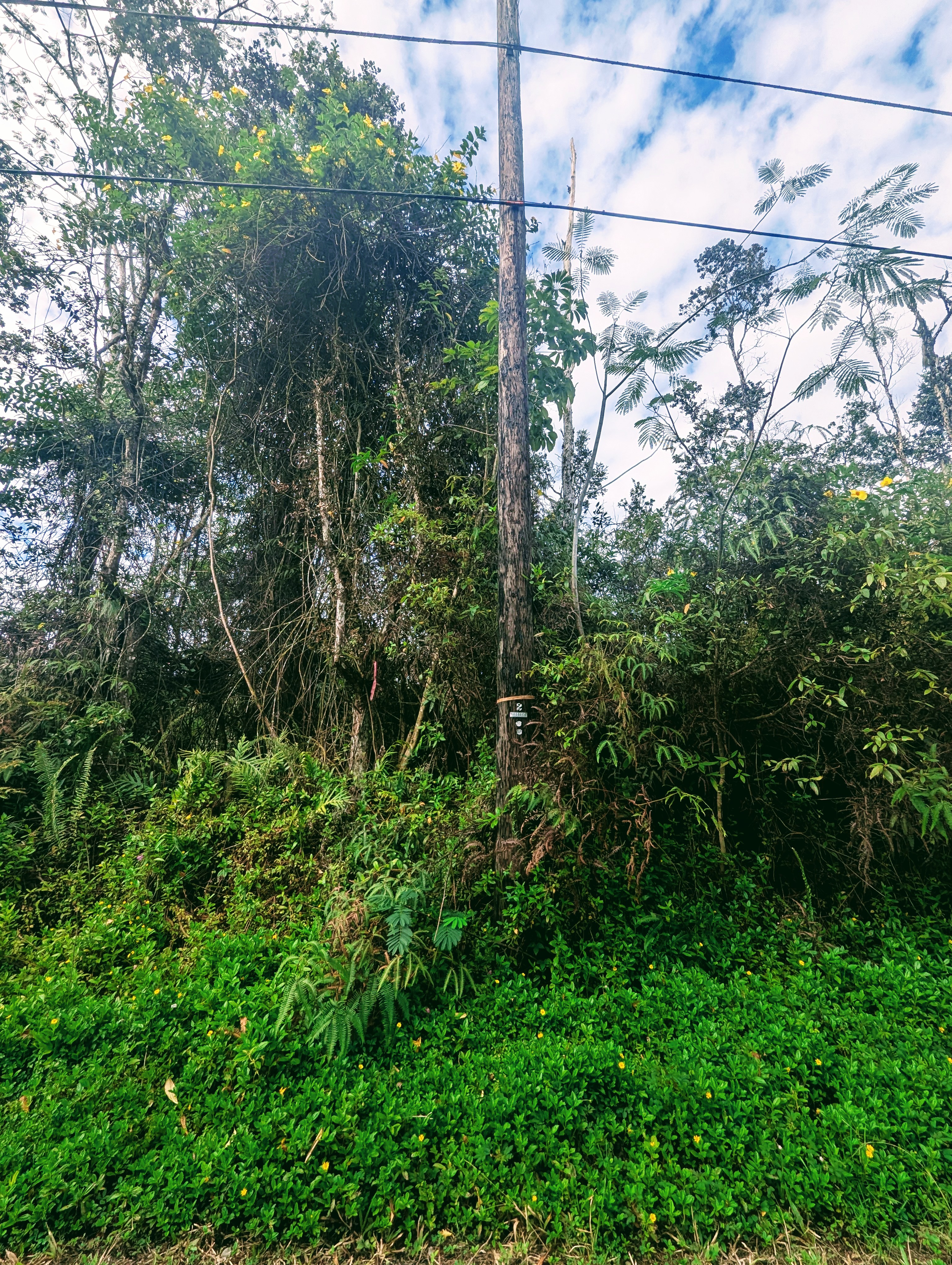 Waimea Rd Property Photo 5