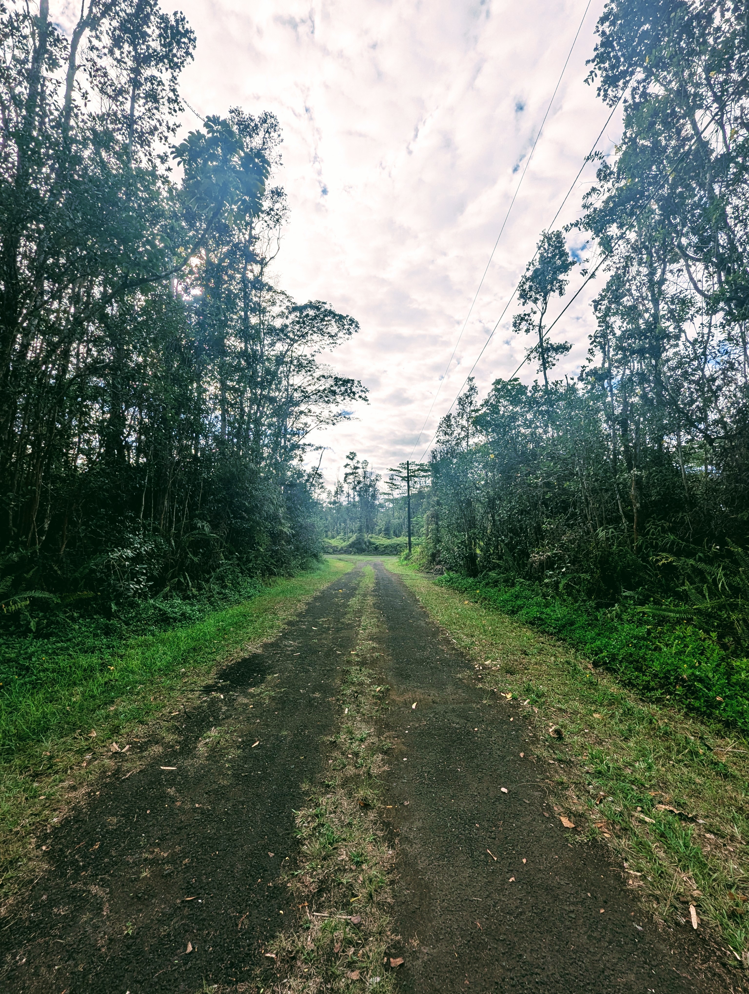 Waimea Rd Property Photo 8