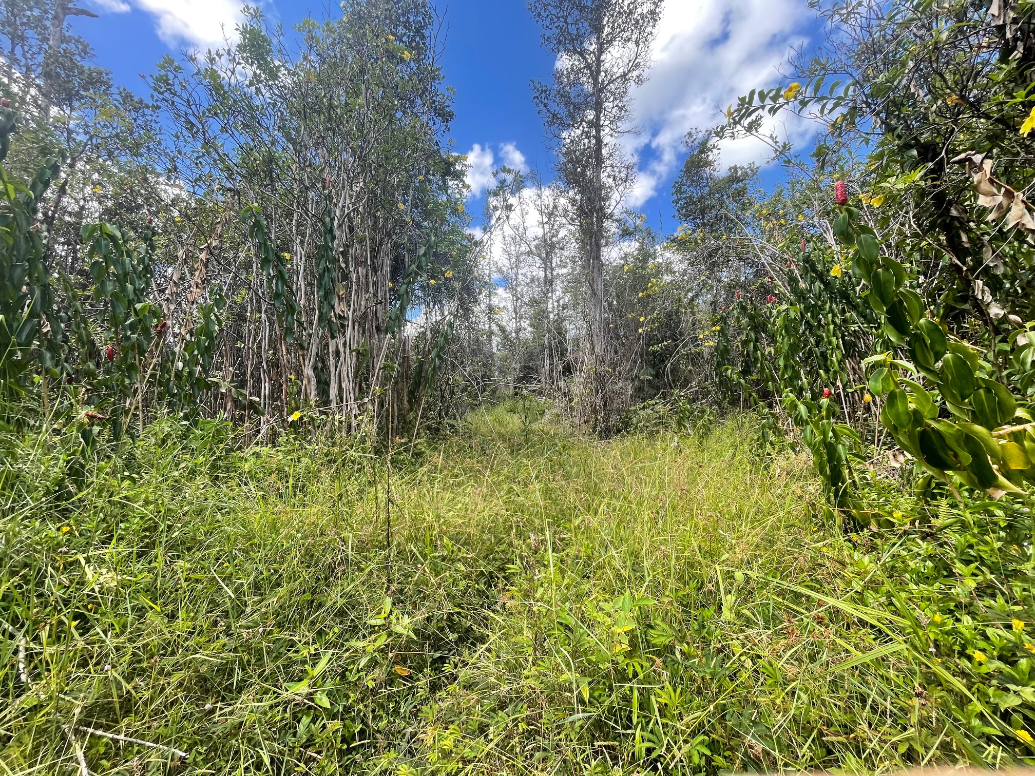 Road 11 (pulelehua) Property Photo 1