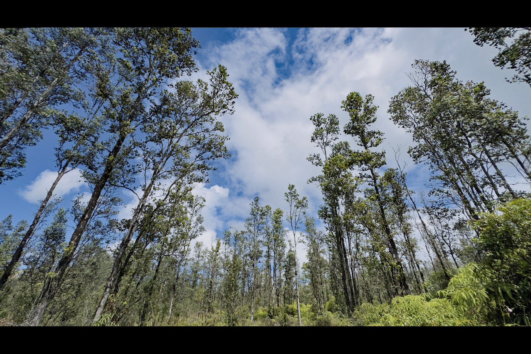 Road 8 (moho) Property Photo 1