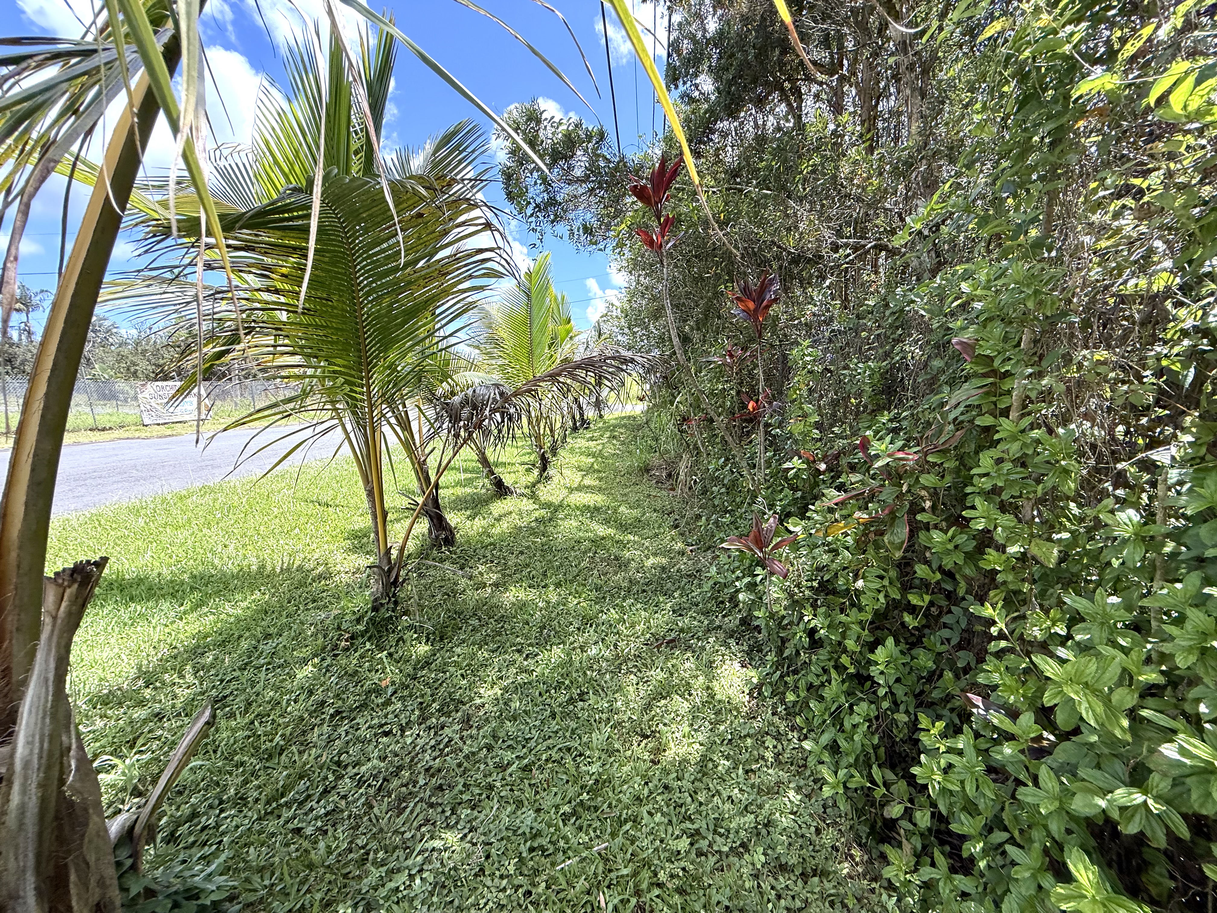 16-233 Orchid Land Dr Property Photo 21