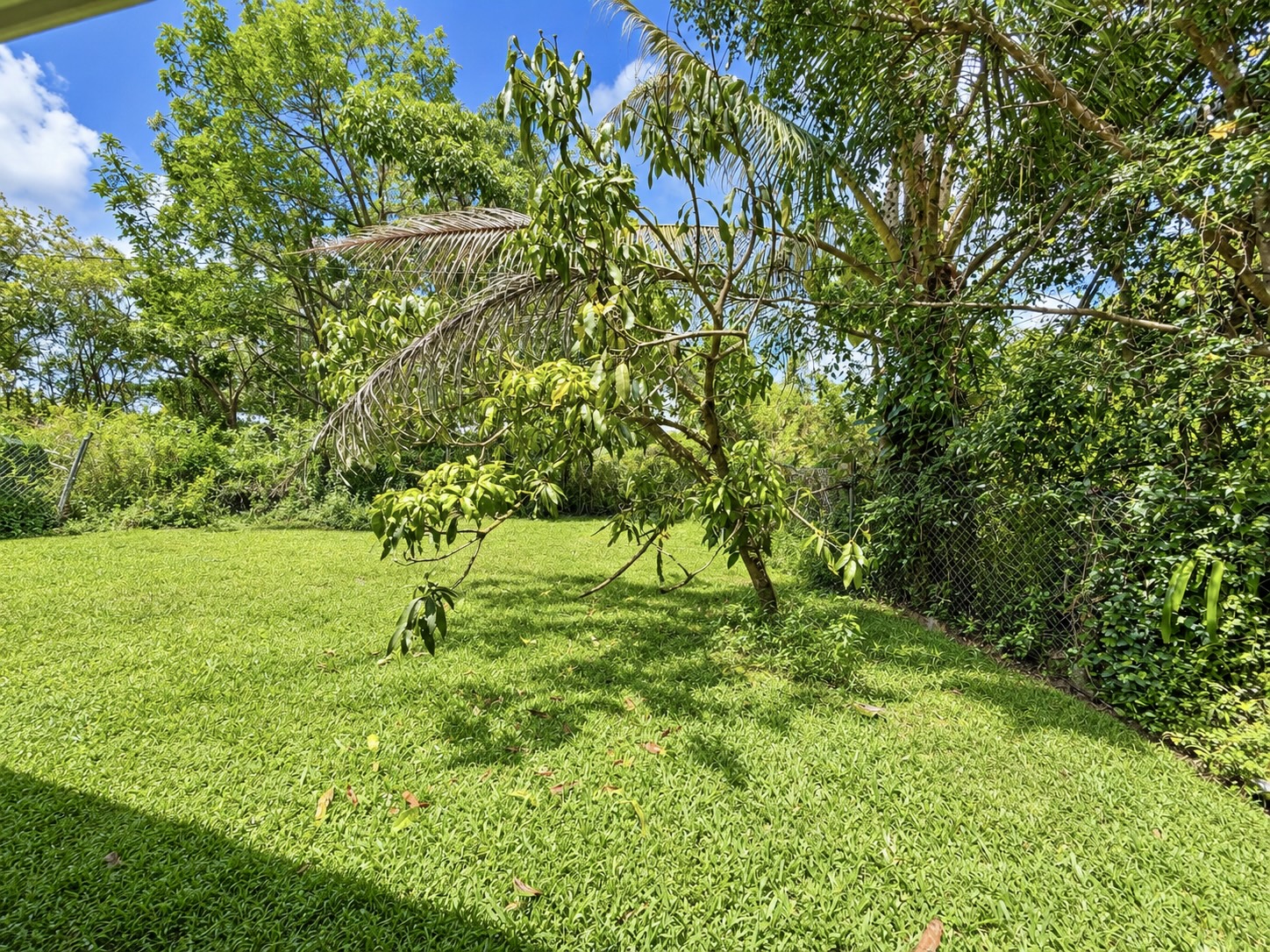 16-233 Orchid Land Dr Property Photo 27