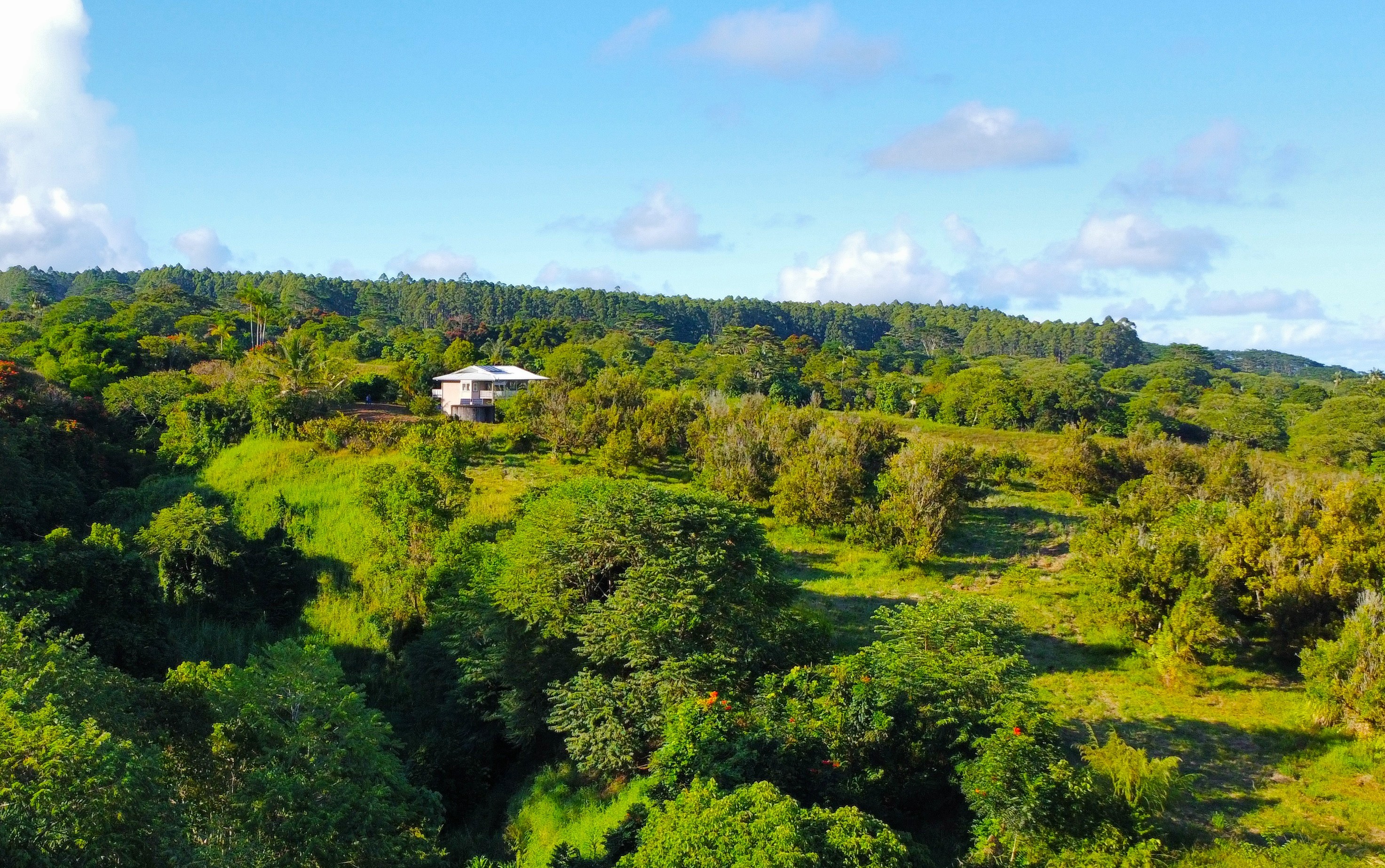 2525 Maikalani St Property Photo 1