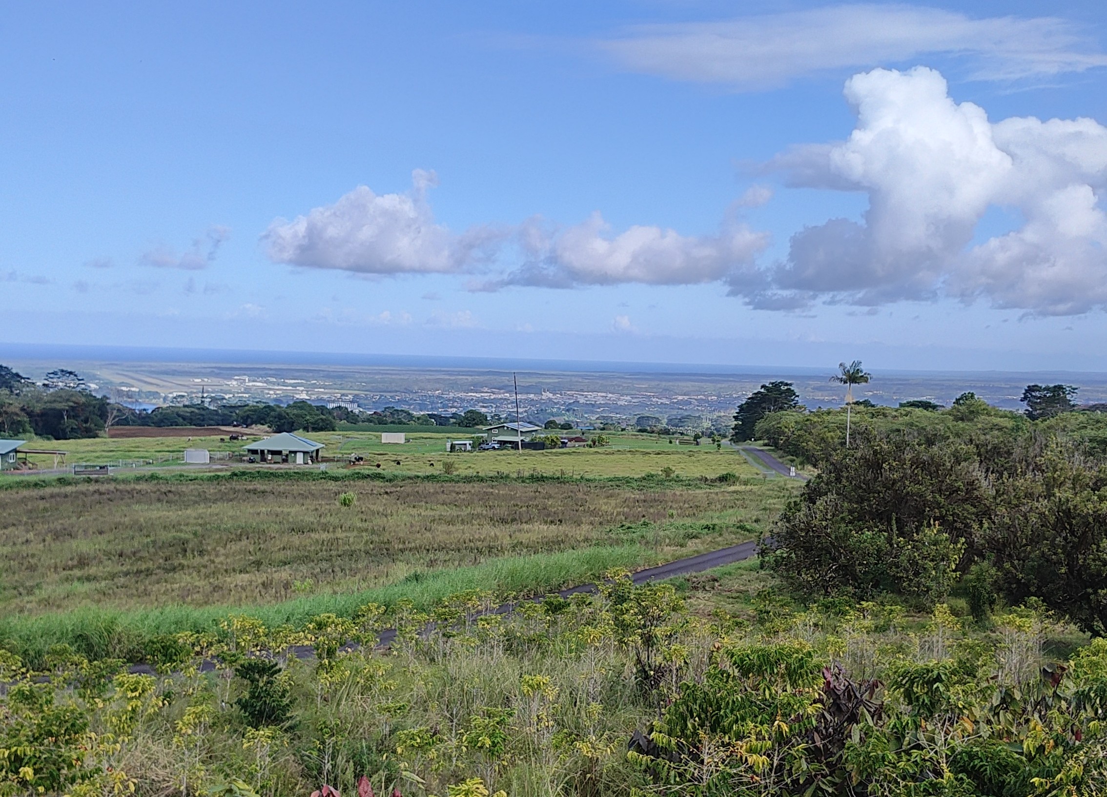 2525 Maikalani St Property Photo 4
