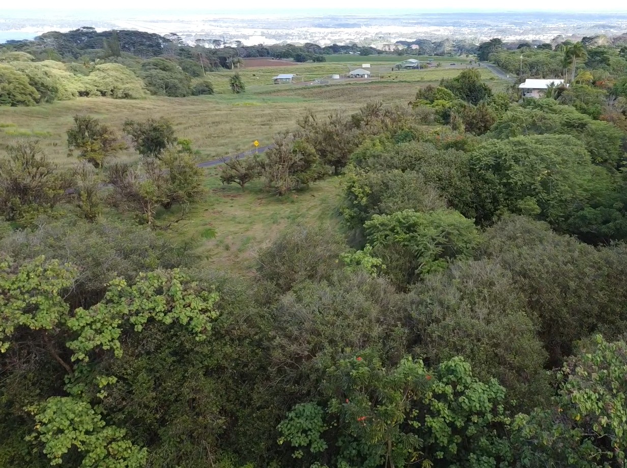 2525 Maikalani St Property Photo 8