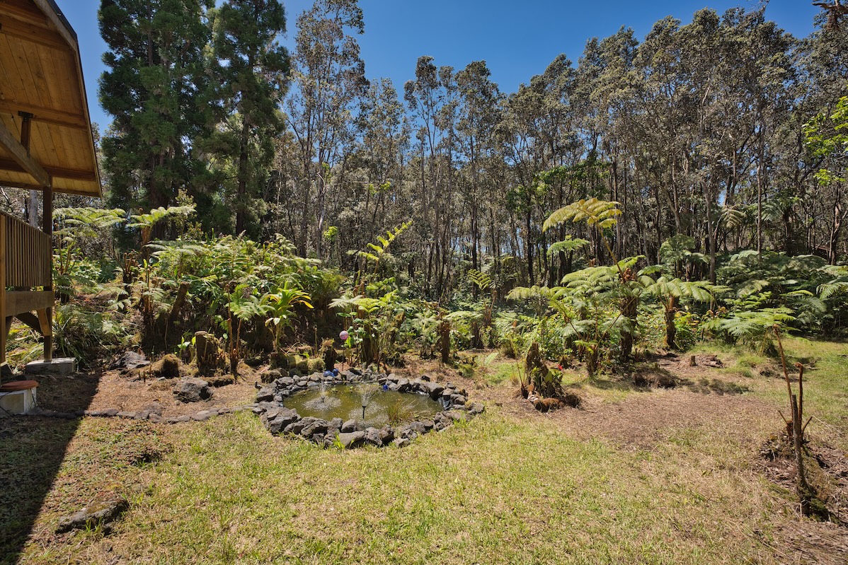 19-4181 Ke Koa Nui St Property Photo 27