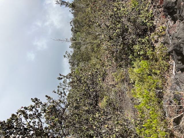 Anuenue Dr Property Photo 3