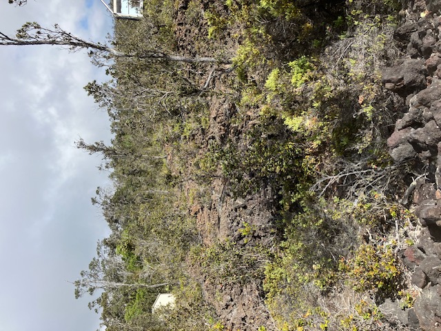 Anuenue Dr Property Photo 4