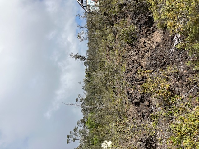 Anuenue Dr Property Photo 6