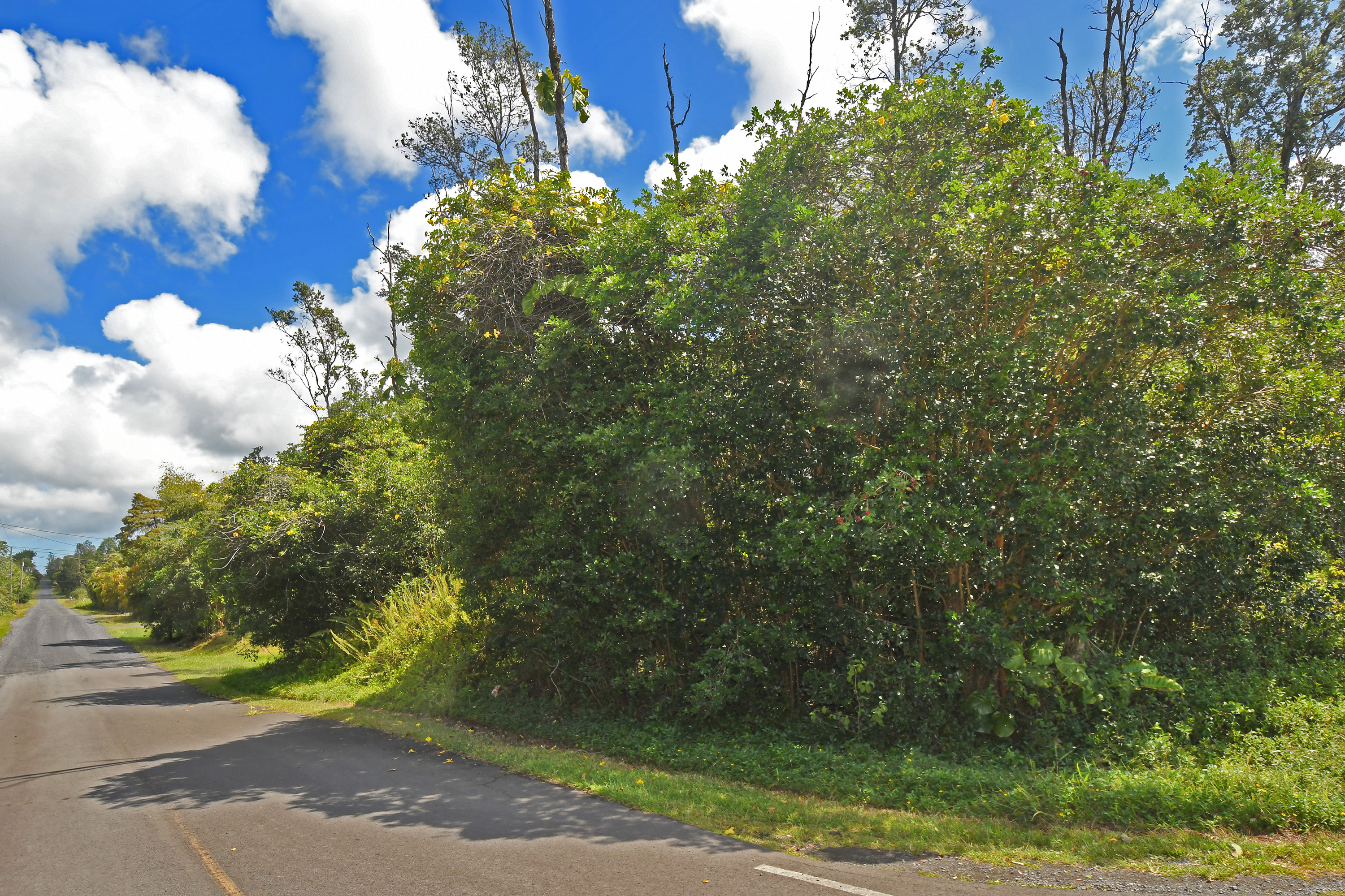 Makuu Dr Property Photo 5