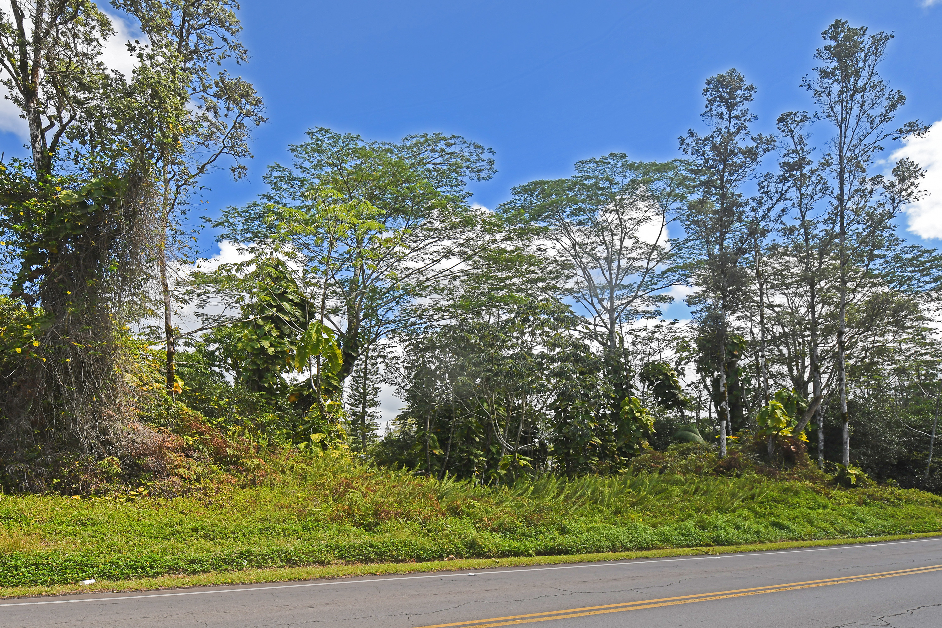 Makuu Dr Property Photo 9