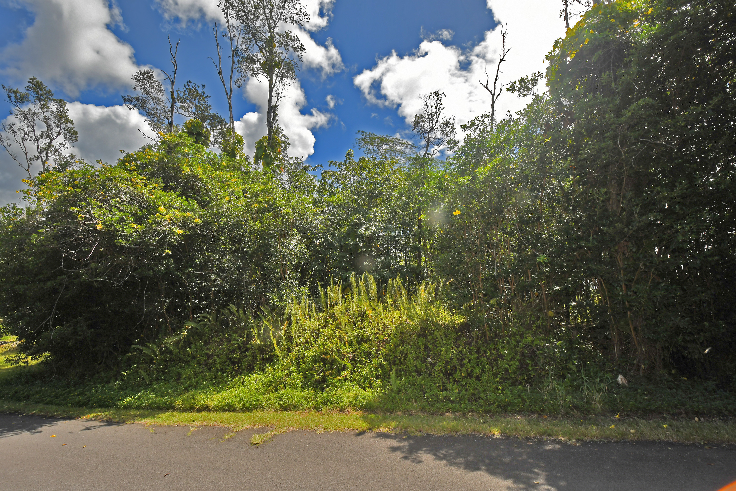Makuu Dr Property Photo 10