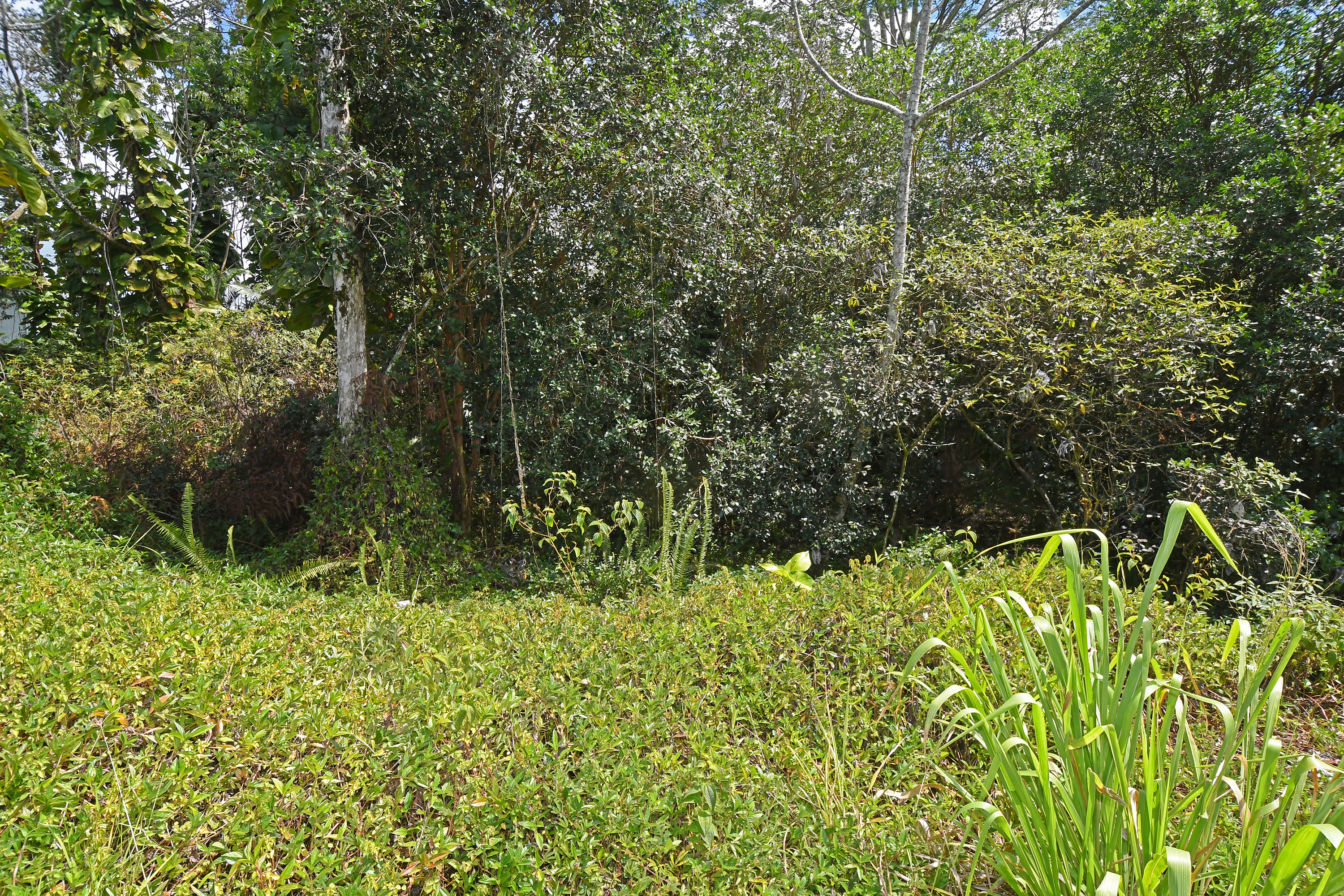 Makuu Dr Property Photo 11