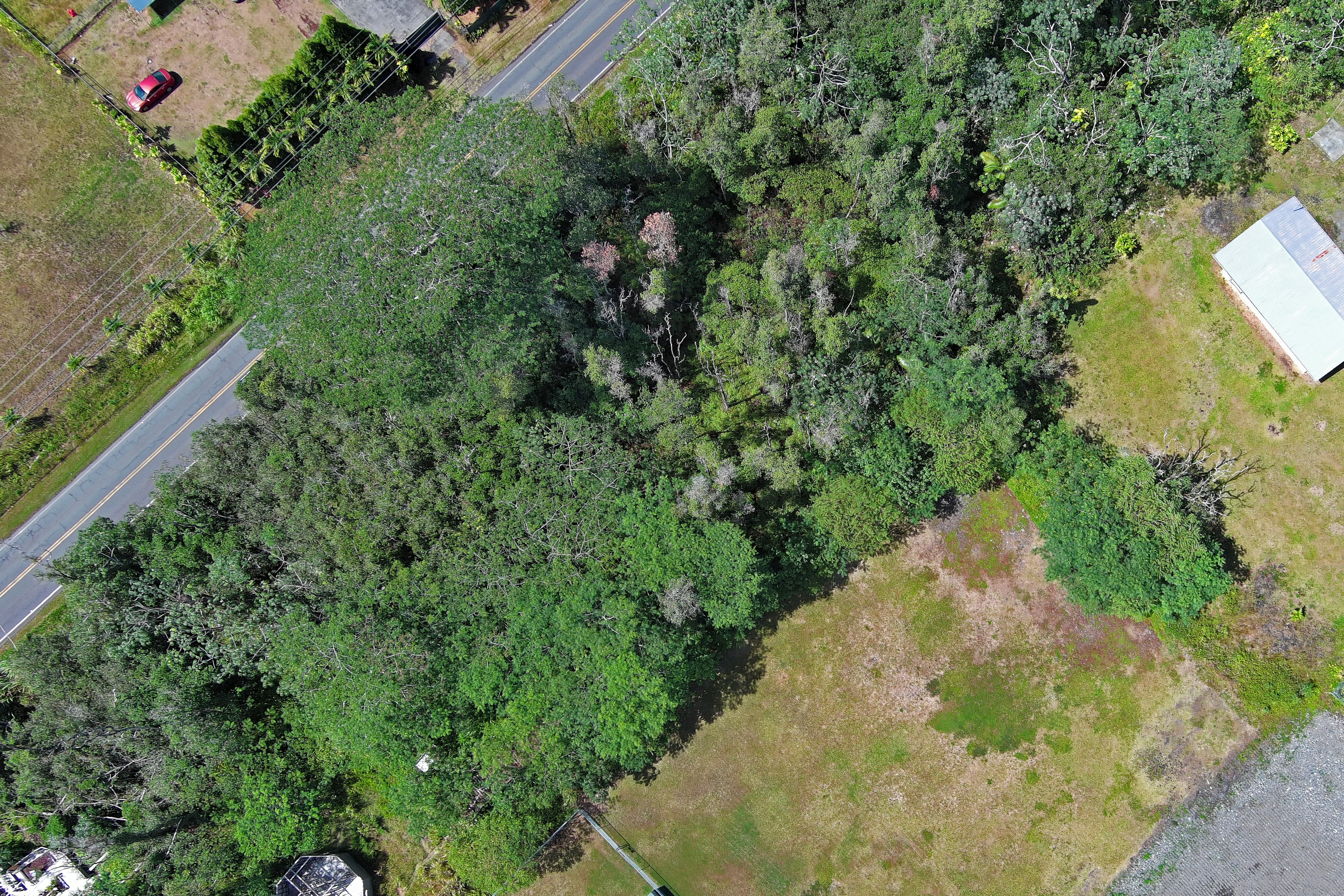 Makuu Dr Property Photo 18