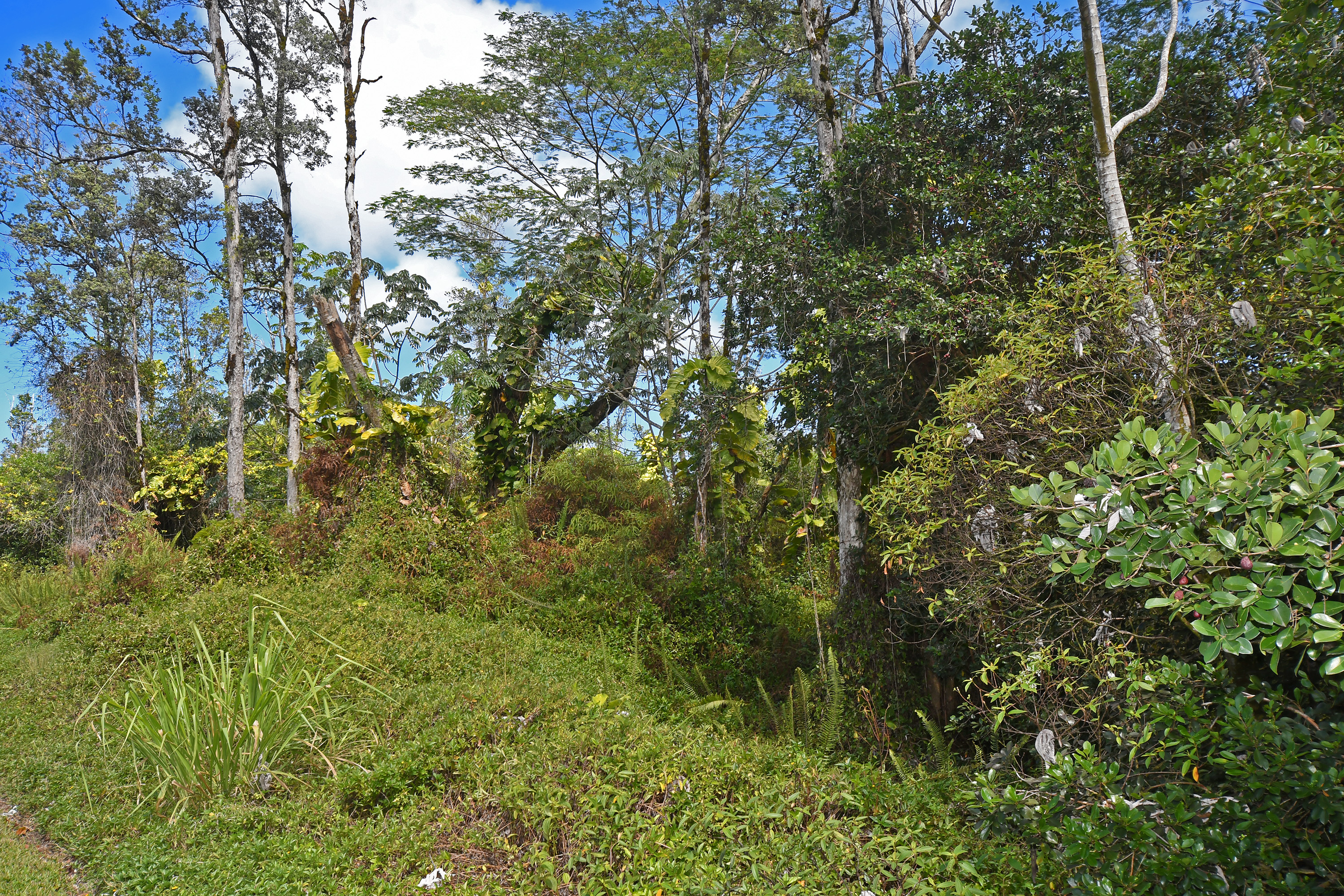 Makuu Dr Property Photo 30