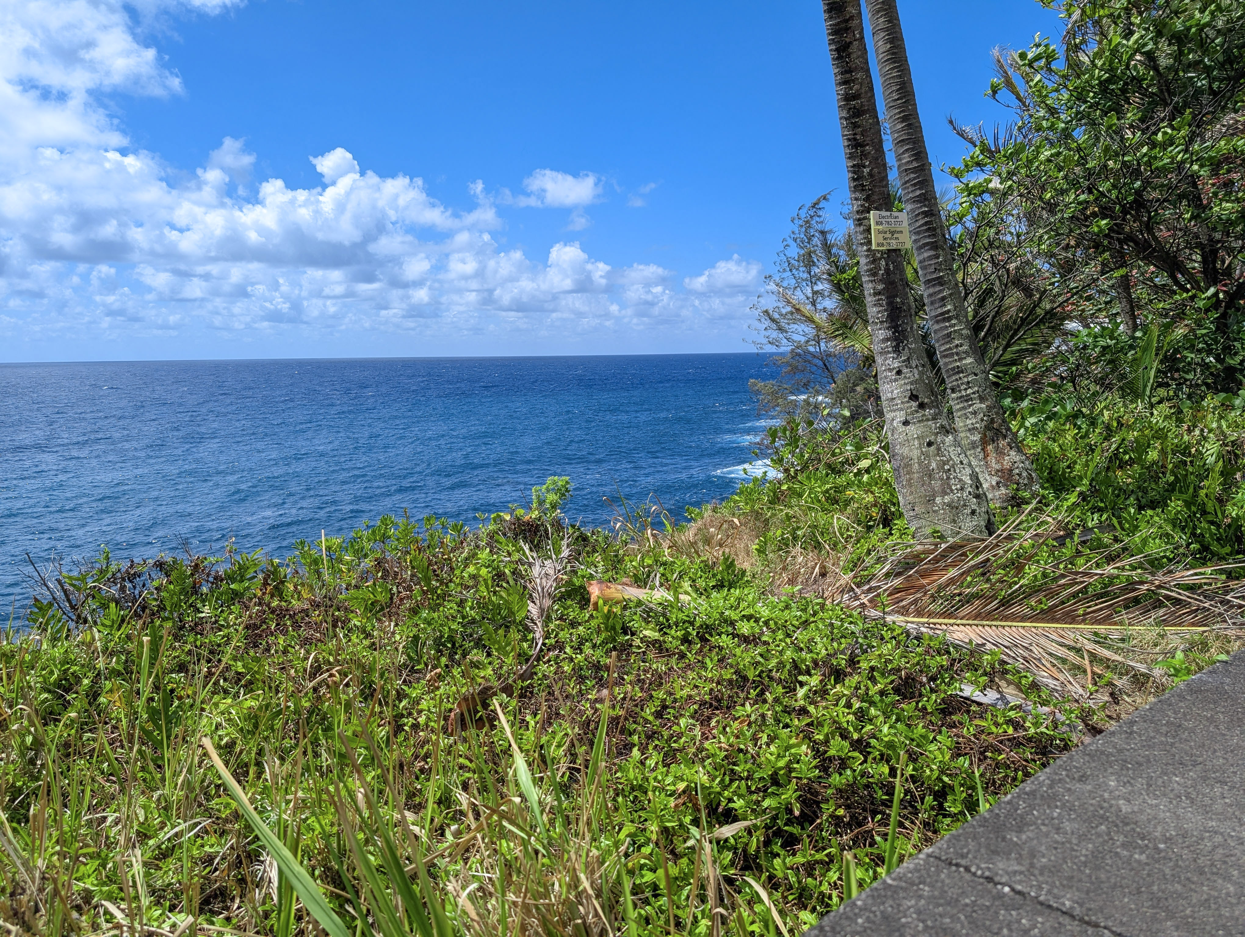 12-4293 Ocean View Pkwy Property Photo 4