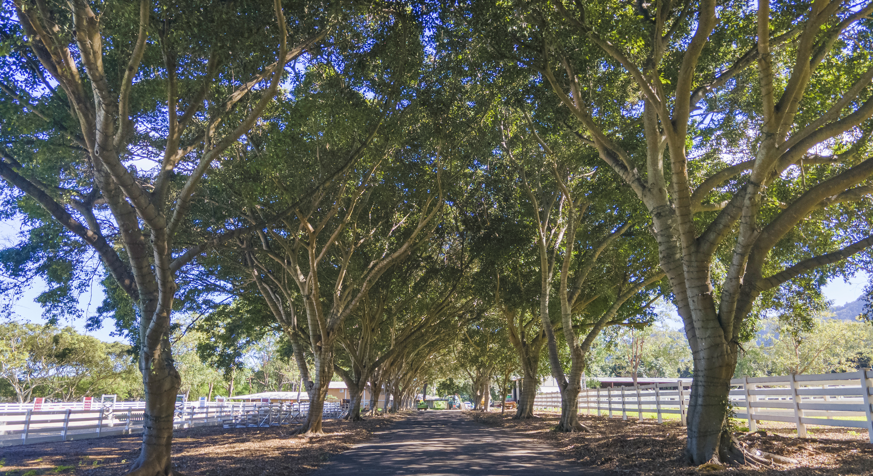 41-569 Makakalo St Property Photo 7