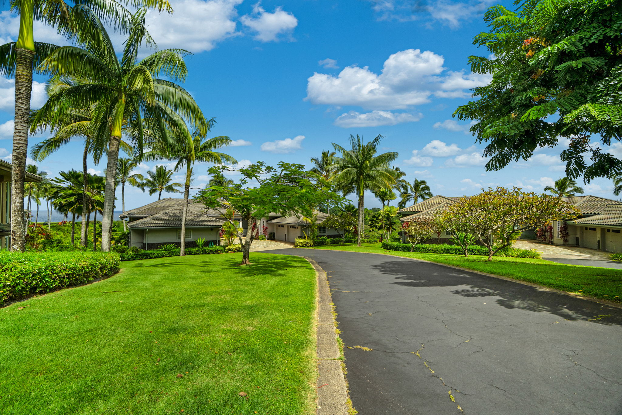 4100 Queen Emma's Dr 20 Property Photo 8