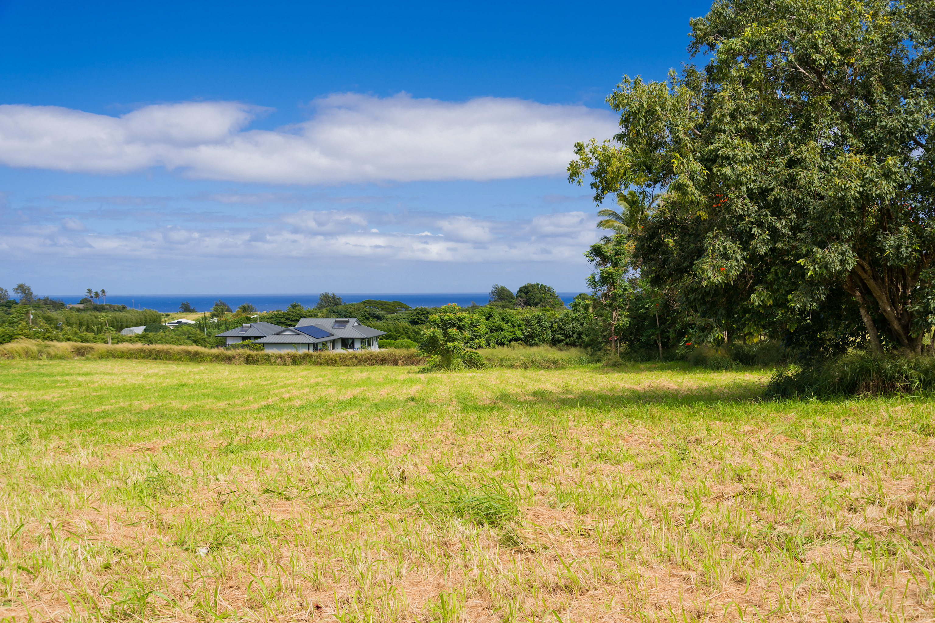 54-1119 Mahiai Pl Property Photo 5