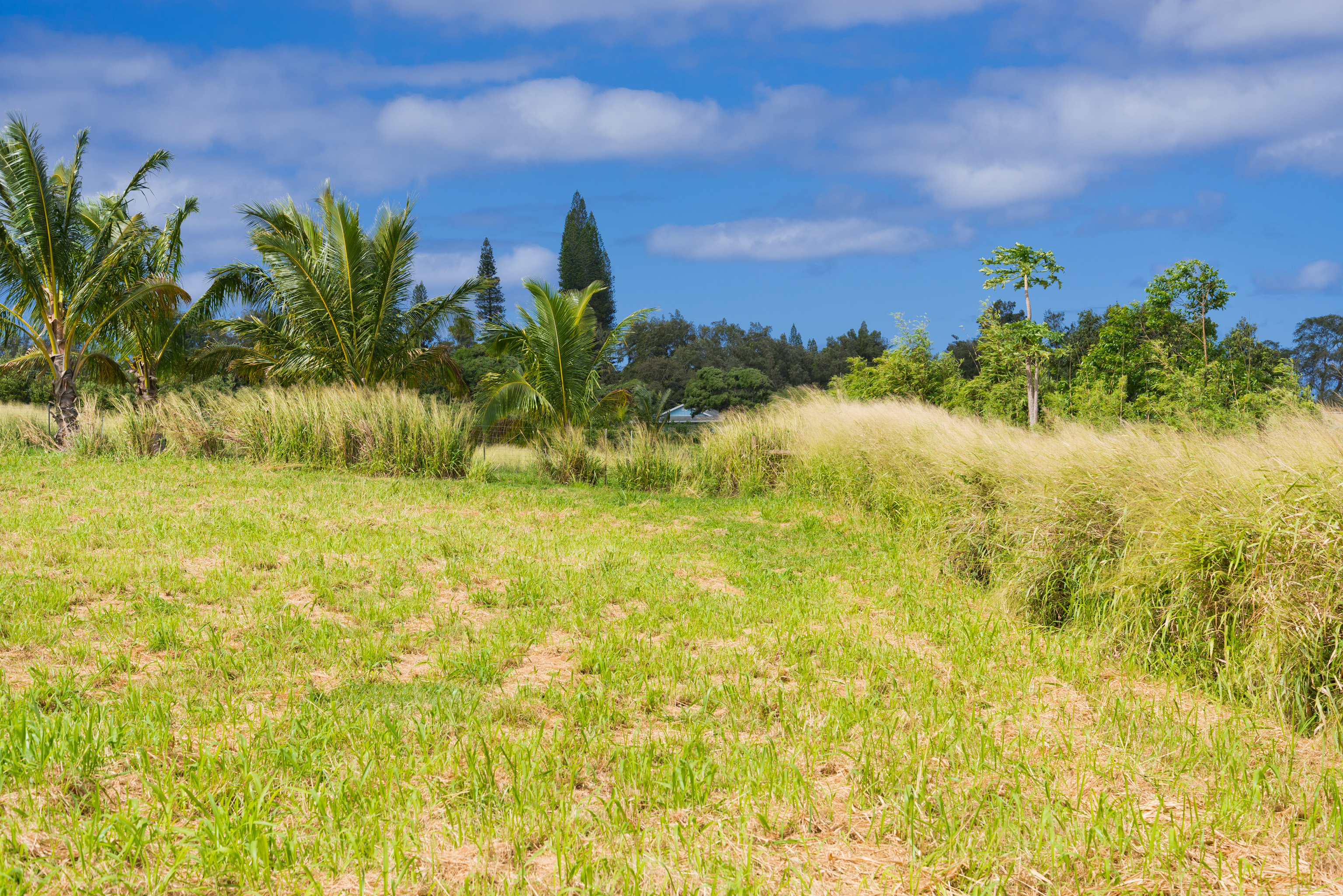 54-1119 Mahiai Pl Property Photo 8