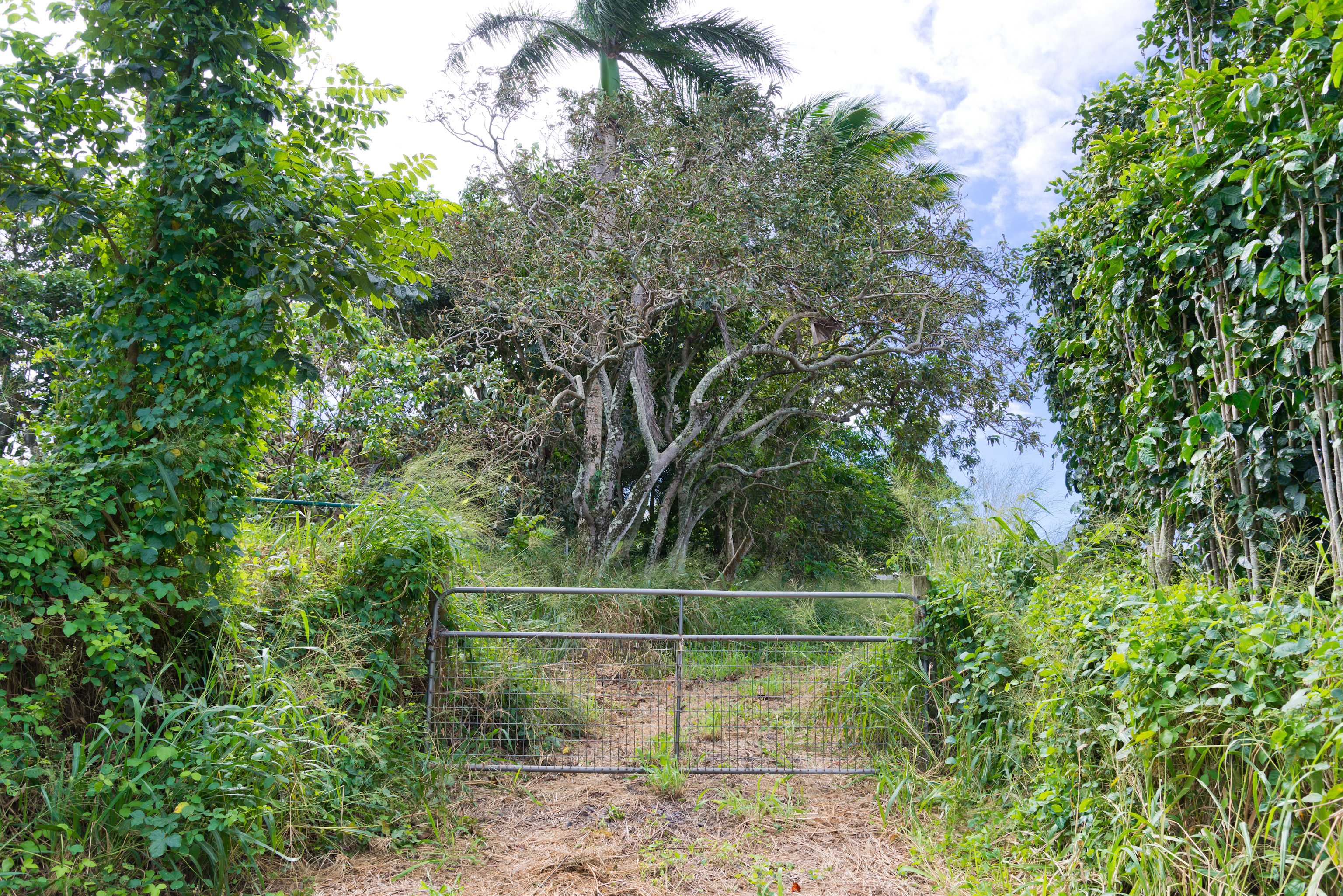 54-1119 Mahiai Pl Property Photo 9