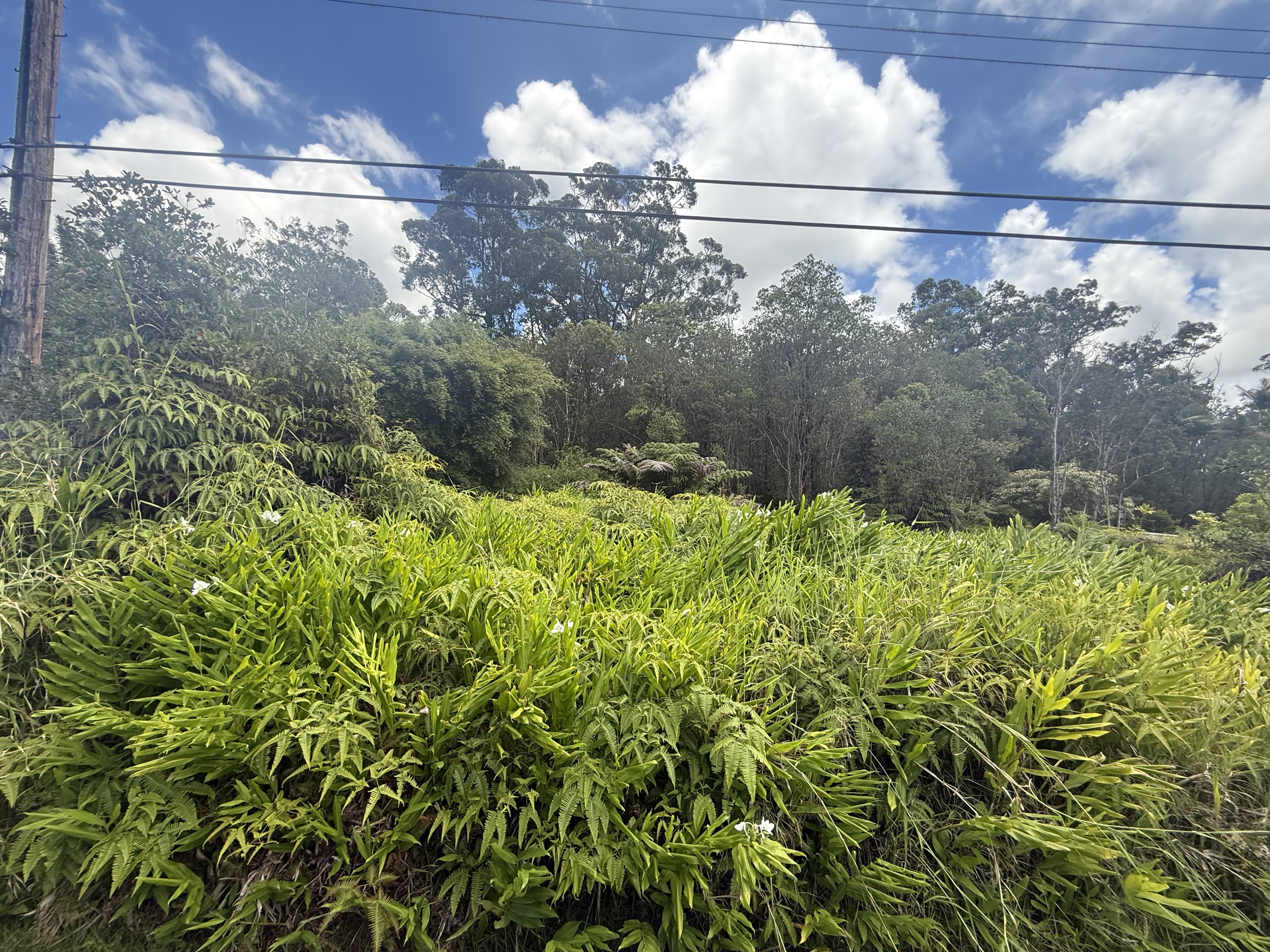 18-1975 Ohia Nani Rd Property Photo 4
