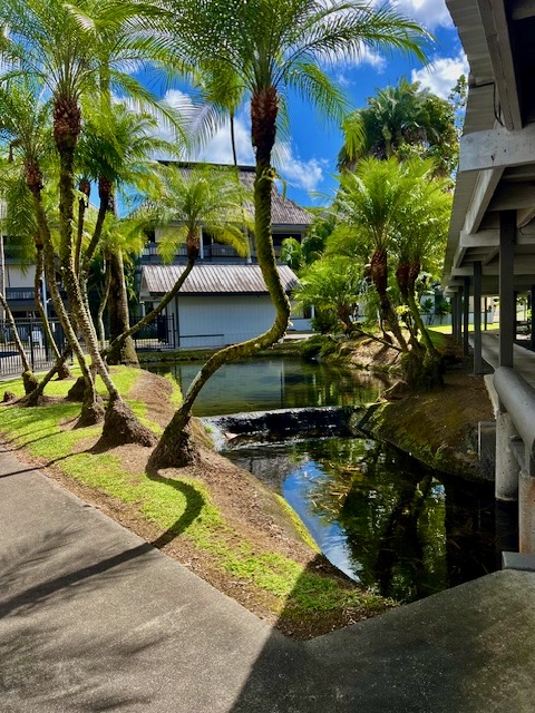 400 Hualani St 4224 Property Photo 15
