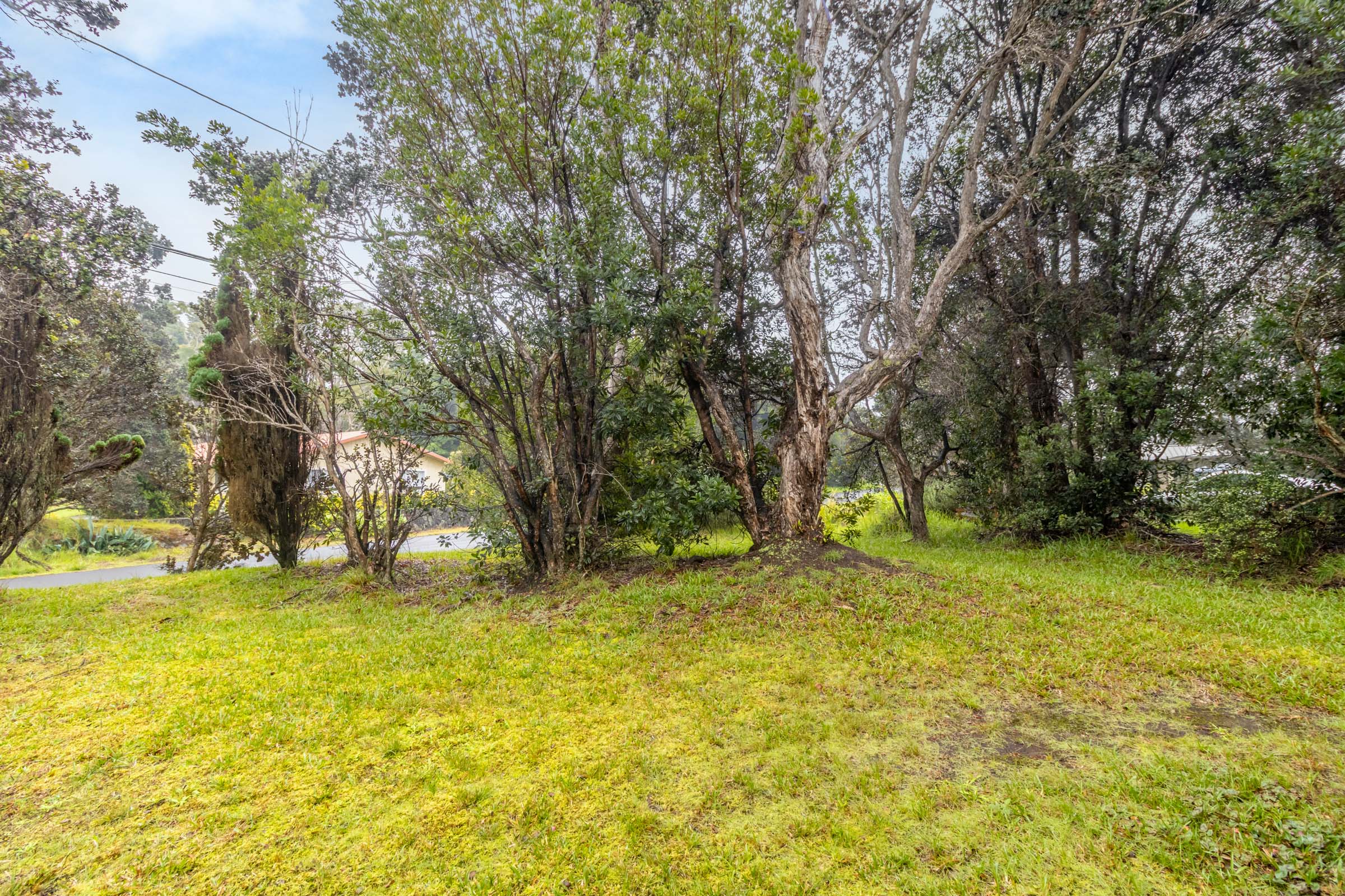 99-1752 Painiu Loop Property Photo 23