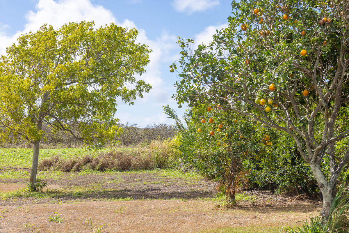 Poipu Aina Pl Property Photo 7