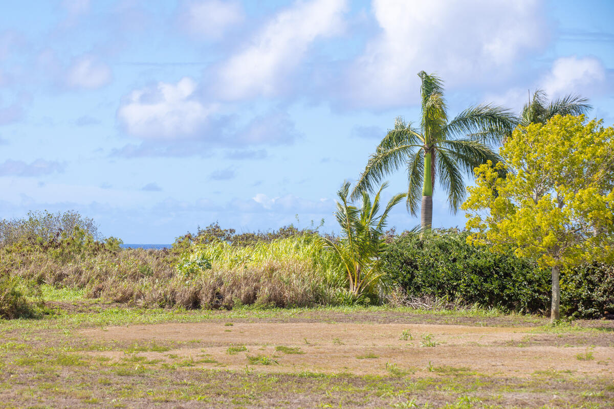Poipu Aina Pl Property Photo 8