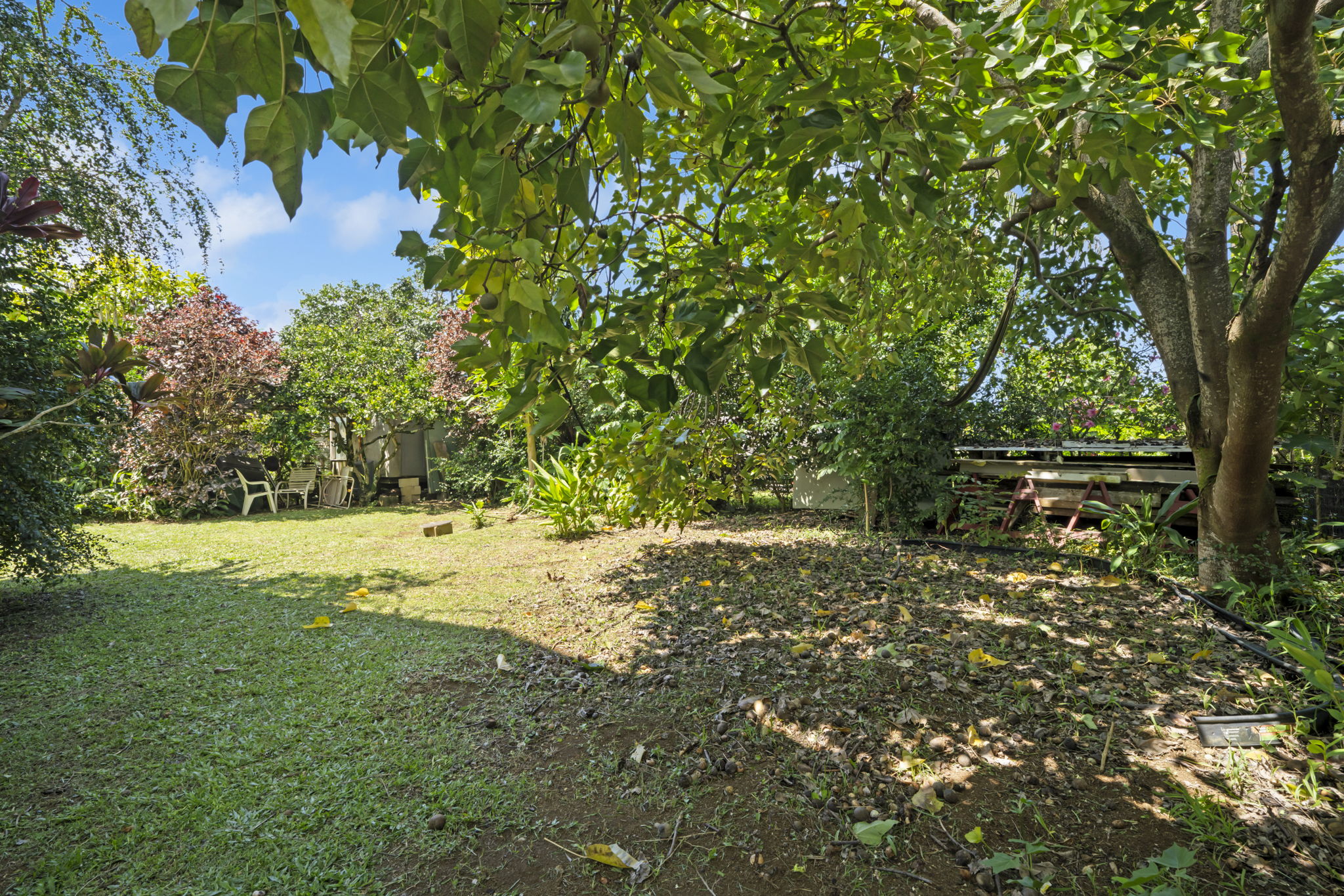 2444 Liliuokalani St Property Photo 20