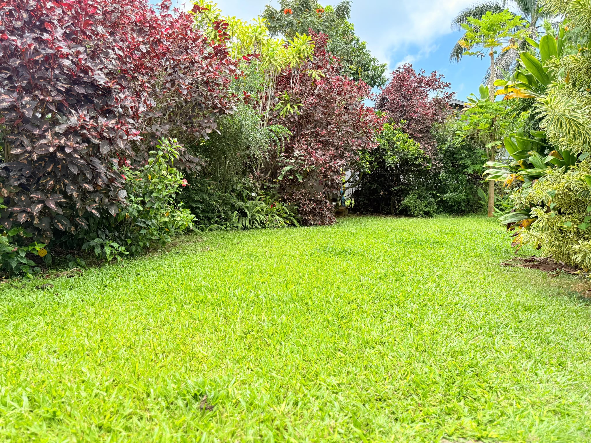 2444 Liliuokalani St Property Photo 27