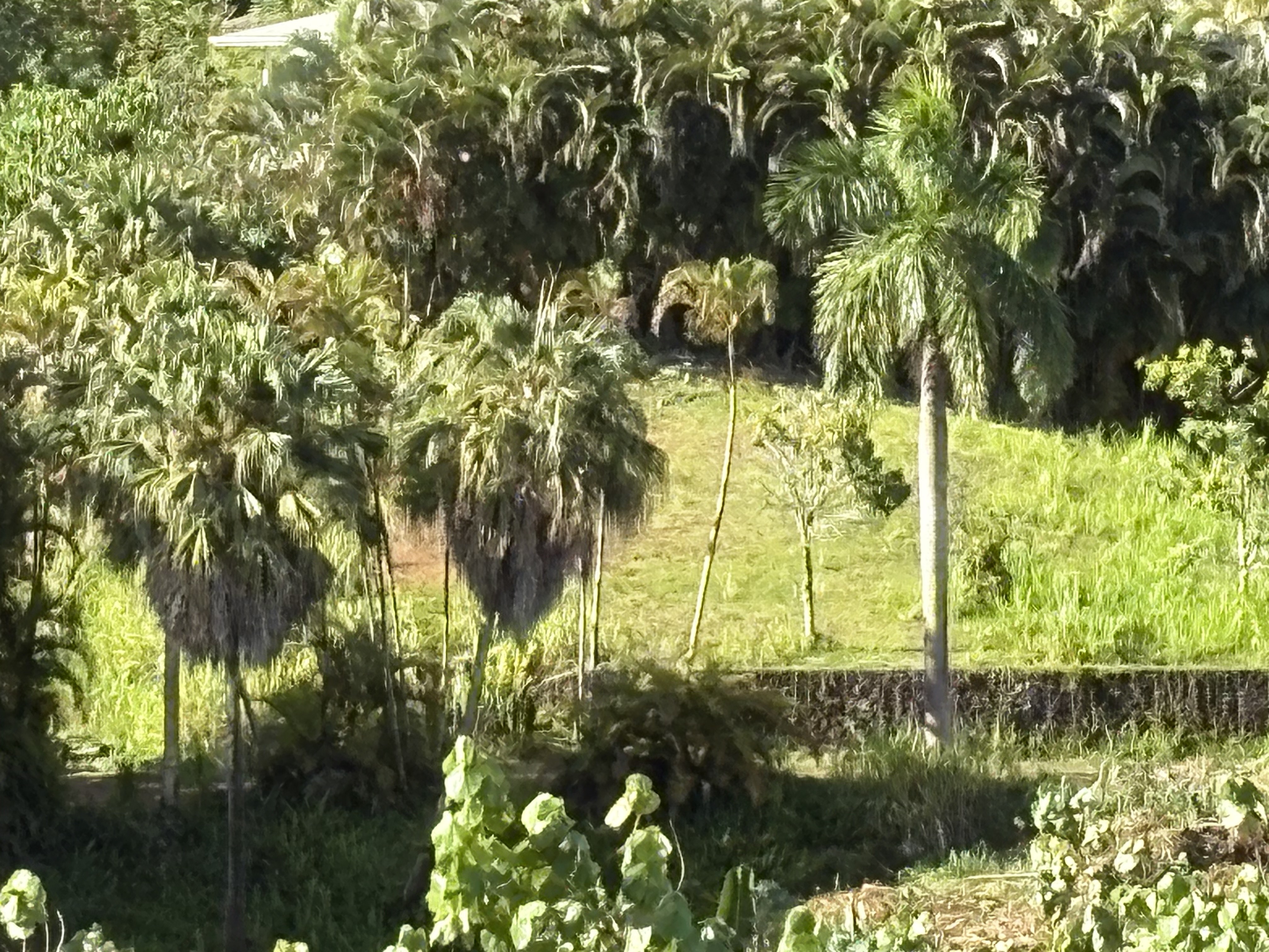 6631-a Kipapa Rd Property Photo 2
