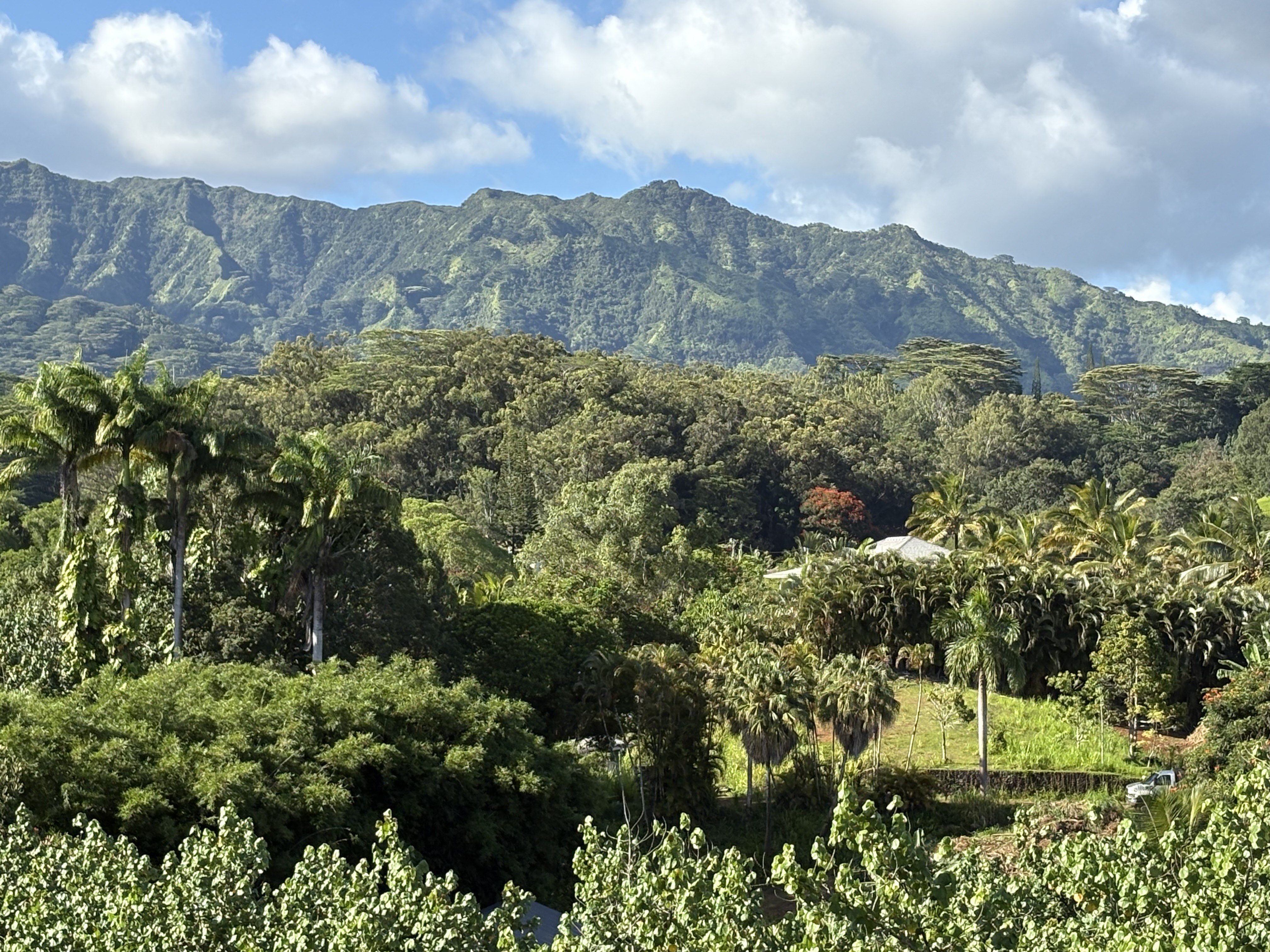 6631-a Kipapa Rd Property Photo 4
