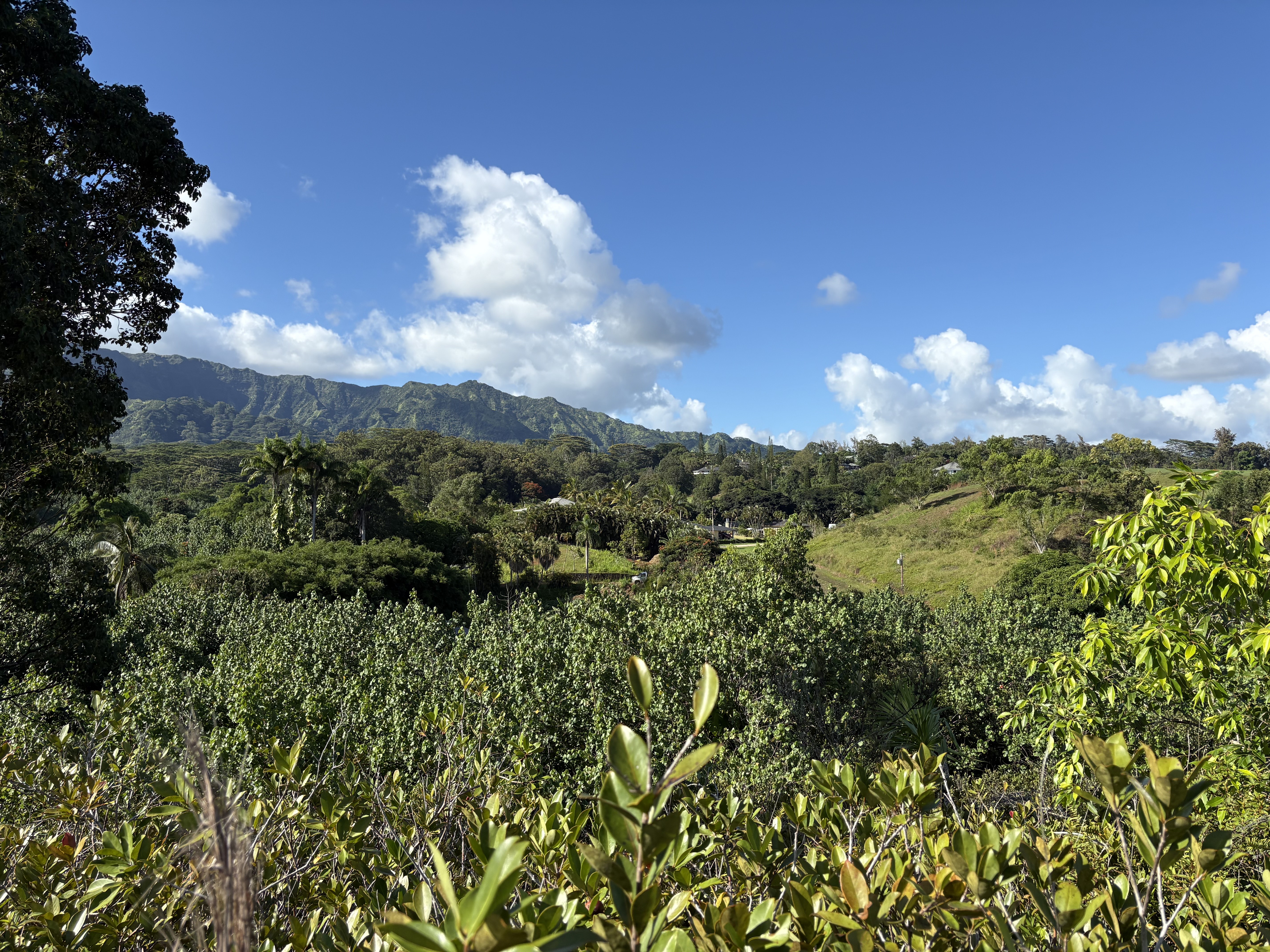 6631-a Kipapa Rd Property Photo 5
