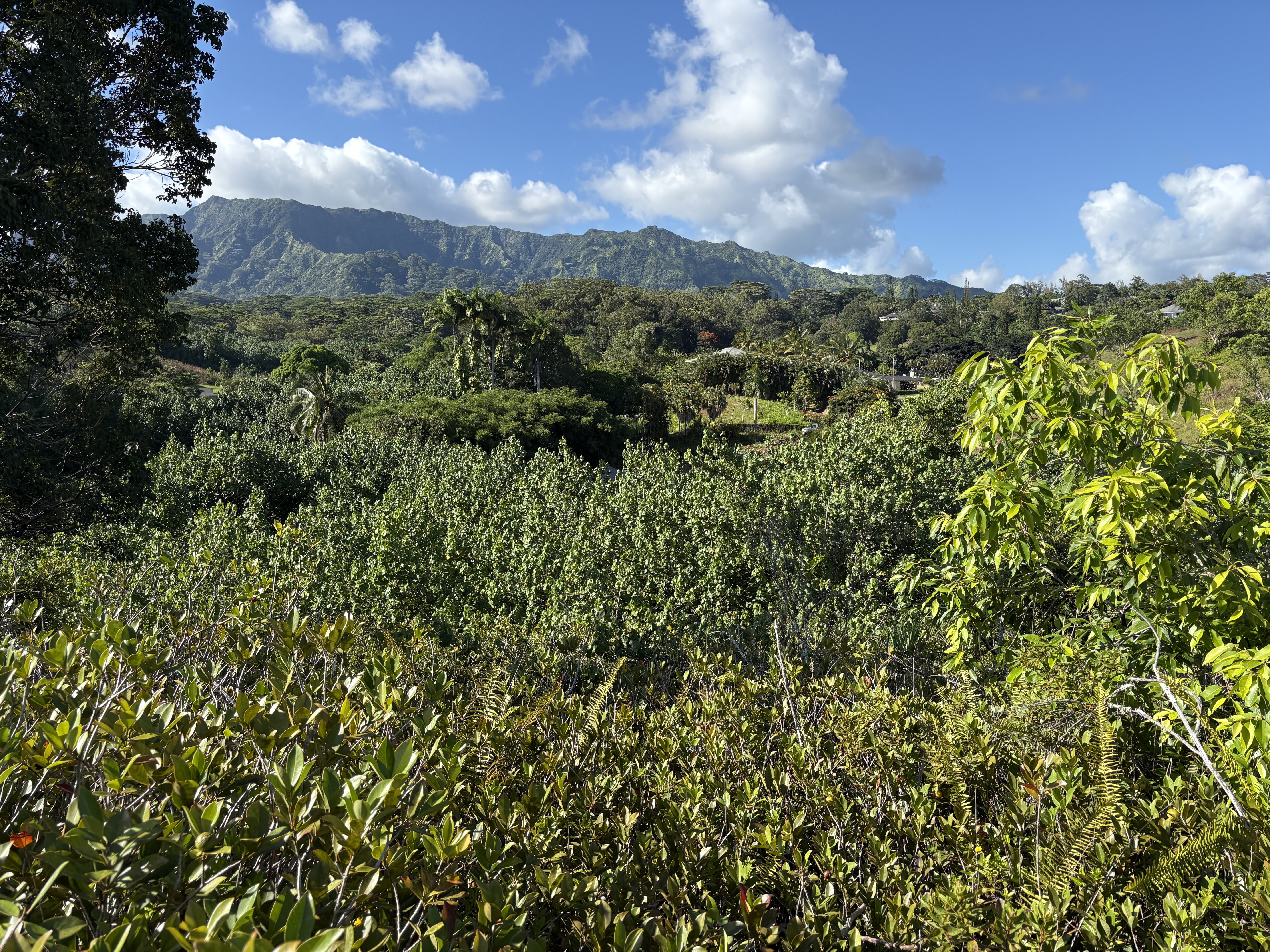 6631-a Kipapa Rd Property Photo 6