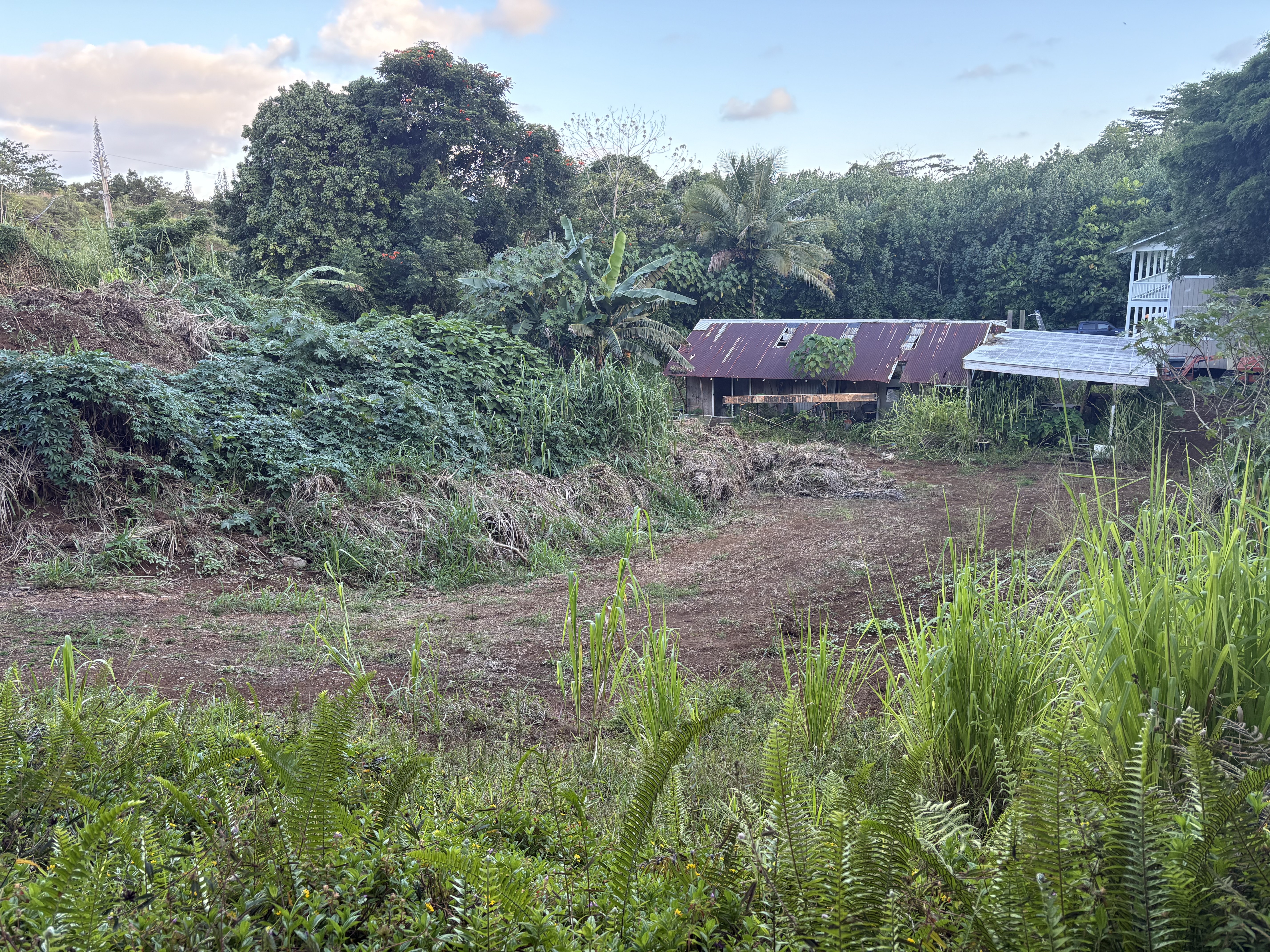 6631-a Kipapa Rd Property Photo 7