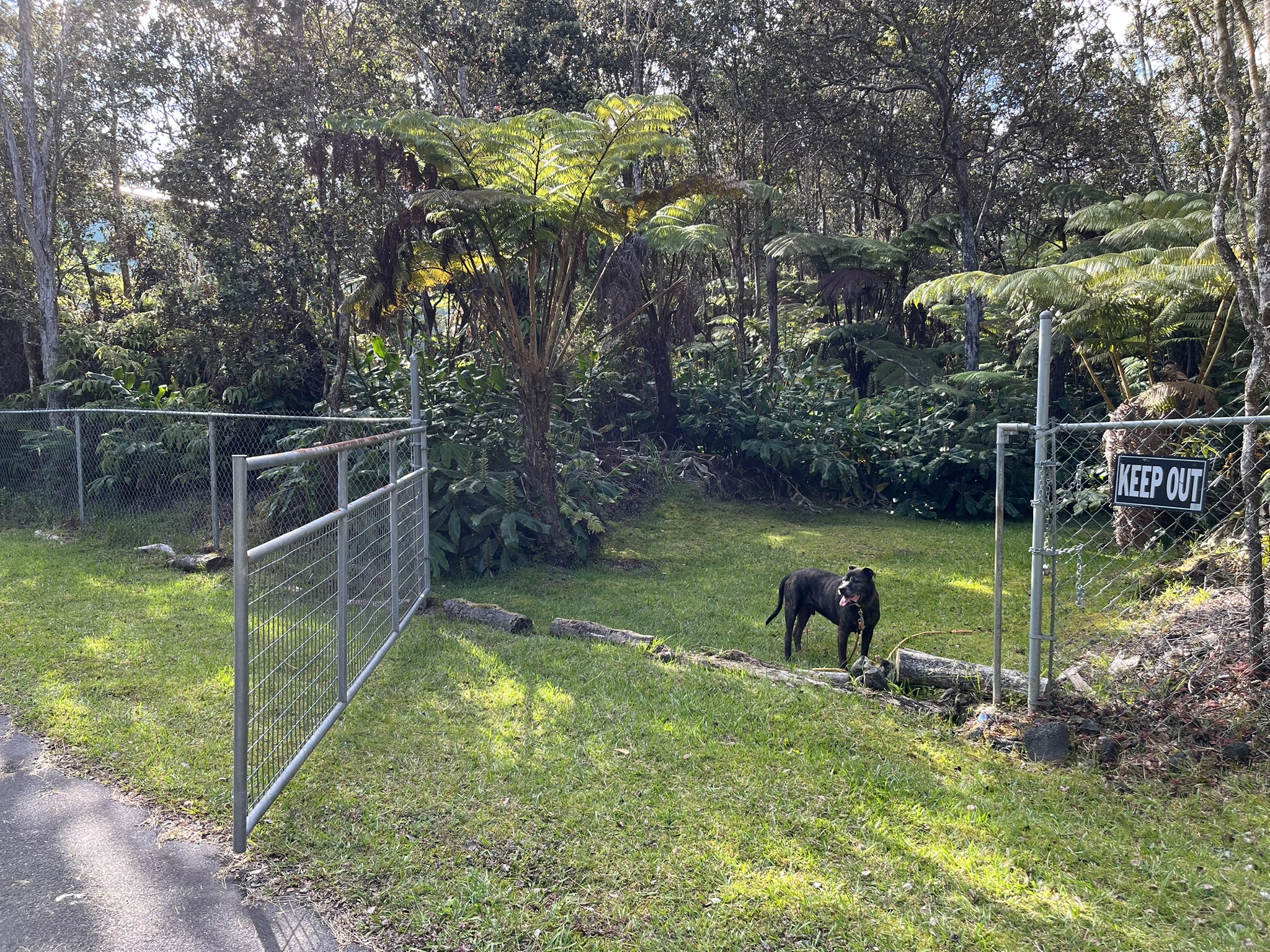 2nd St Property Photo 3
