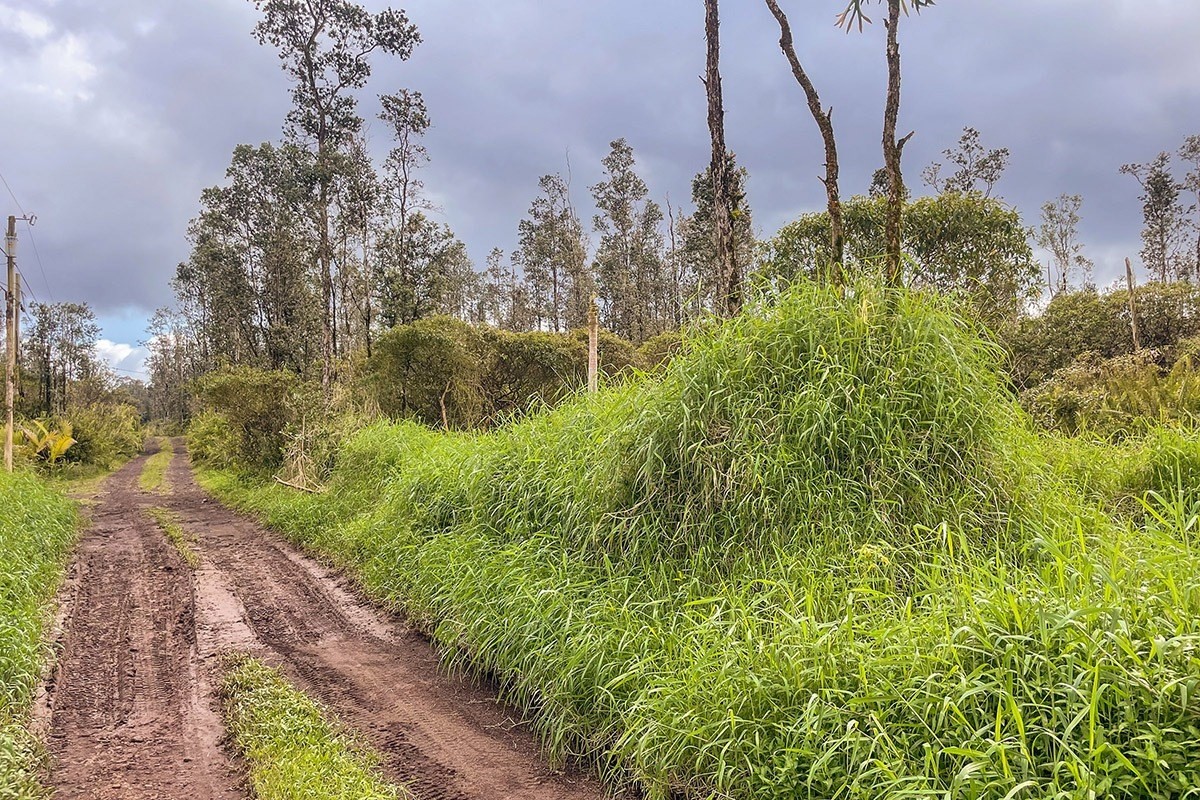 Road 7 (opeapea) Property Photo 8