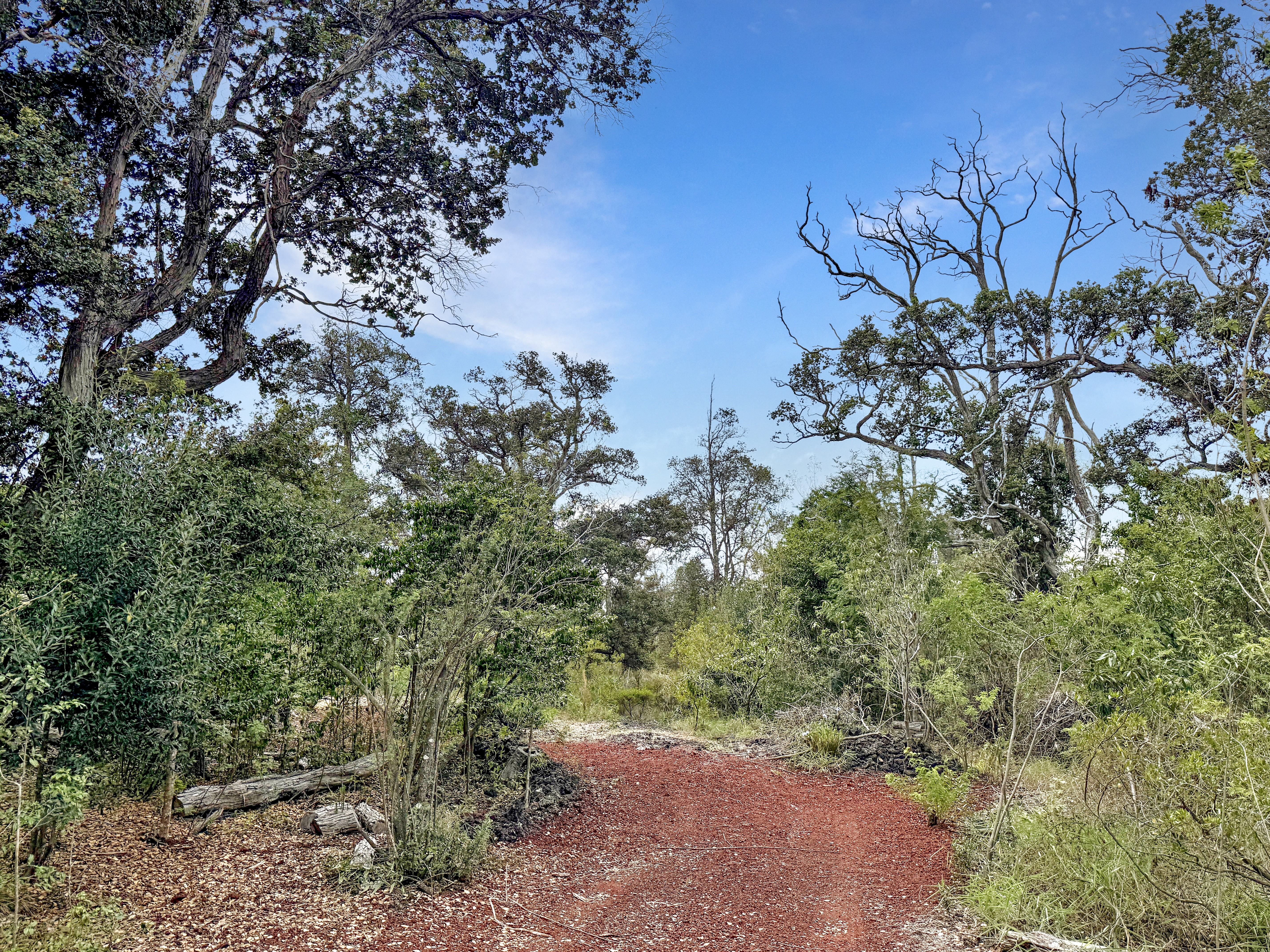 92-1816 Coral Parkway Property Photo 7