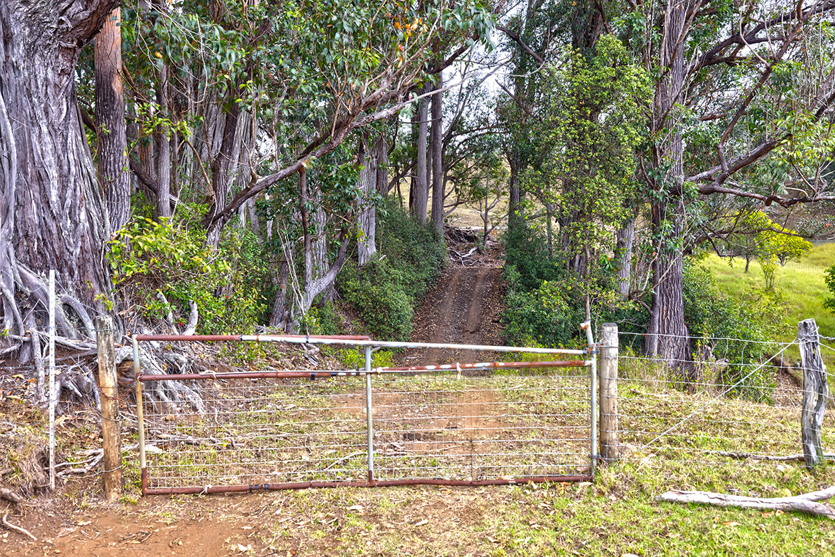 44-2135 Pohakealani Rd Property Photo 2