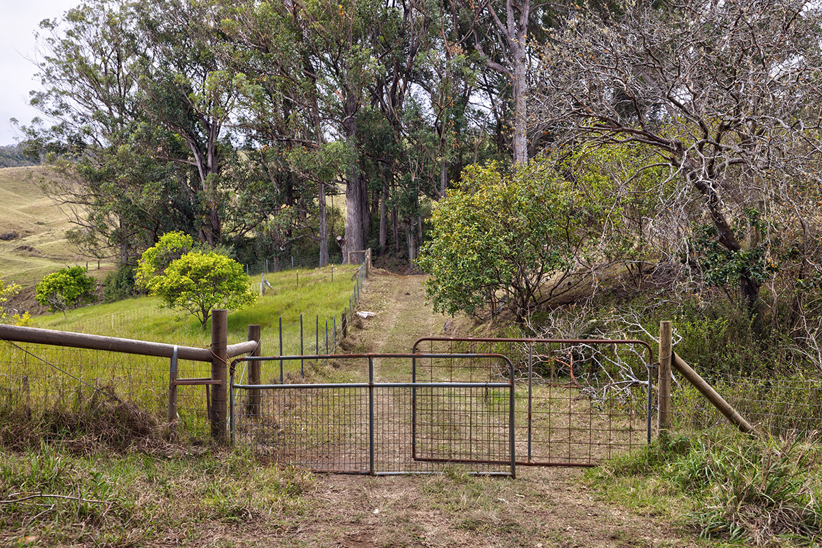 44-2135 Pohakealani Rd Property Photo 4