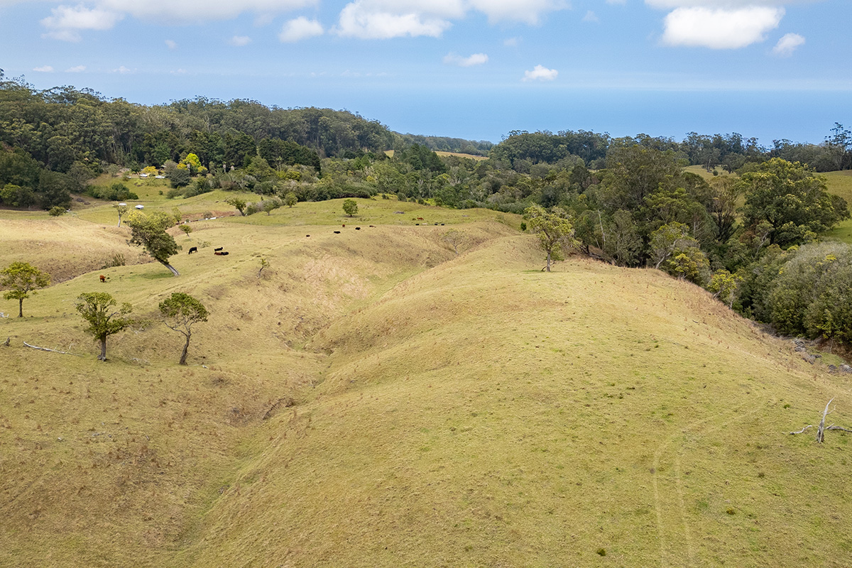 44-2135 Pohakealani Rd Property Photo 7