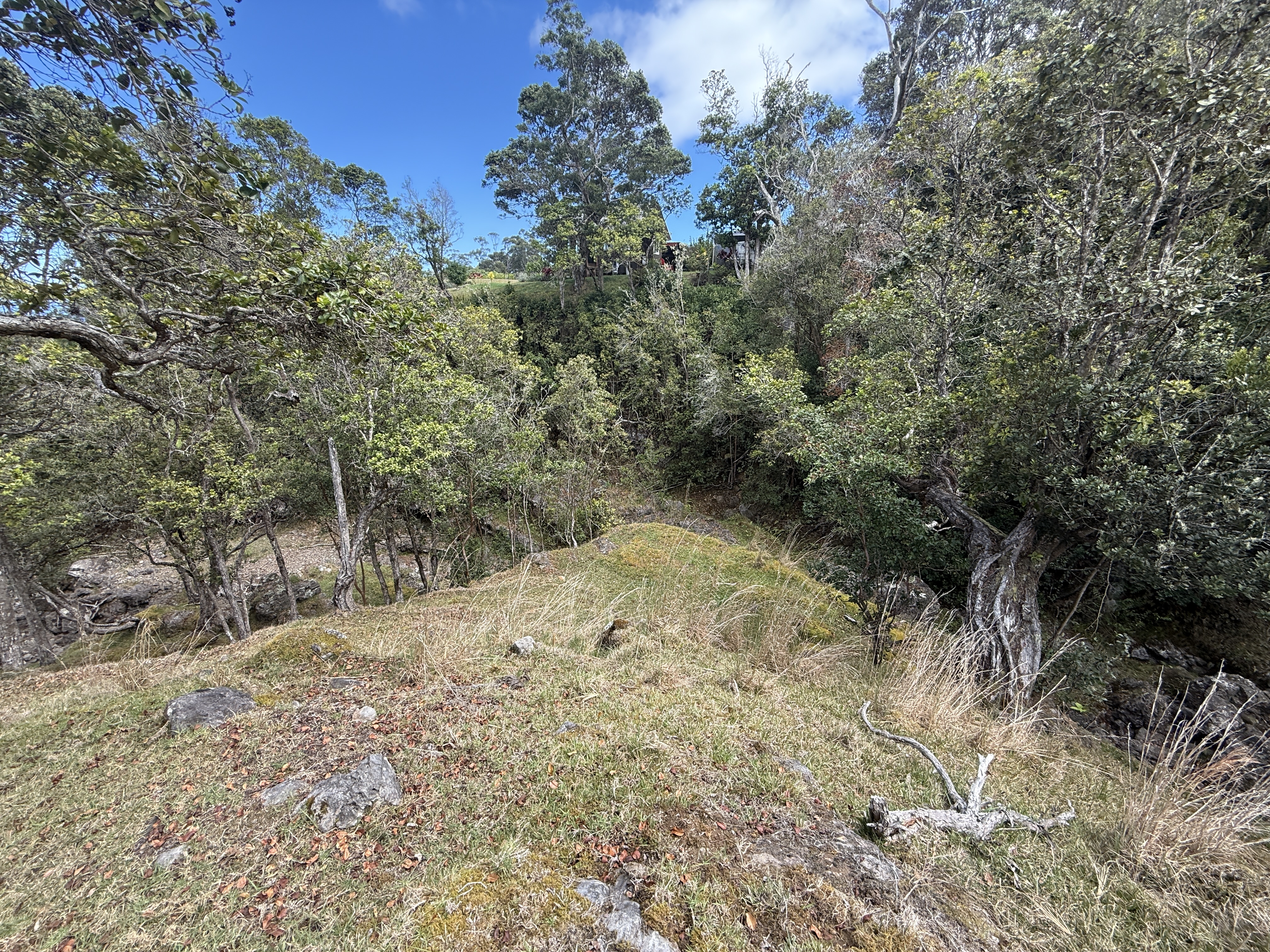 44-2135 Pohakealani Rd Property Photo 13