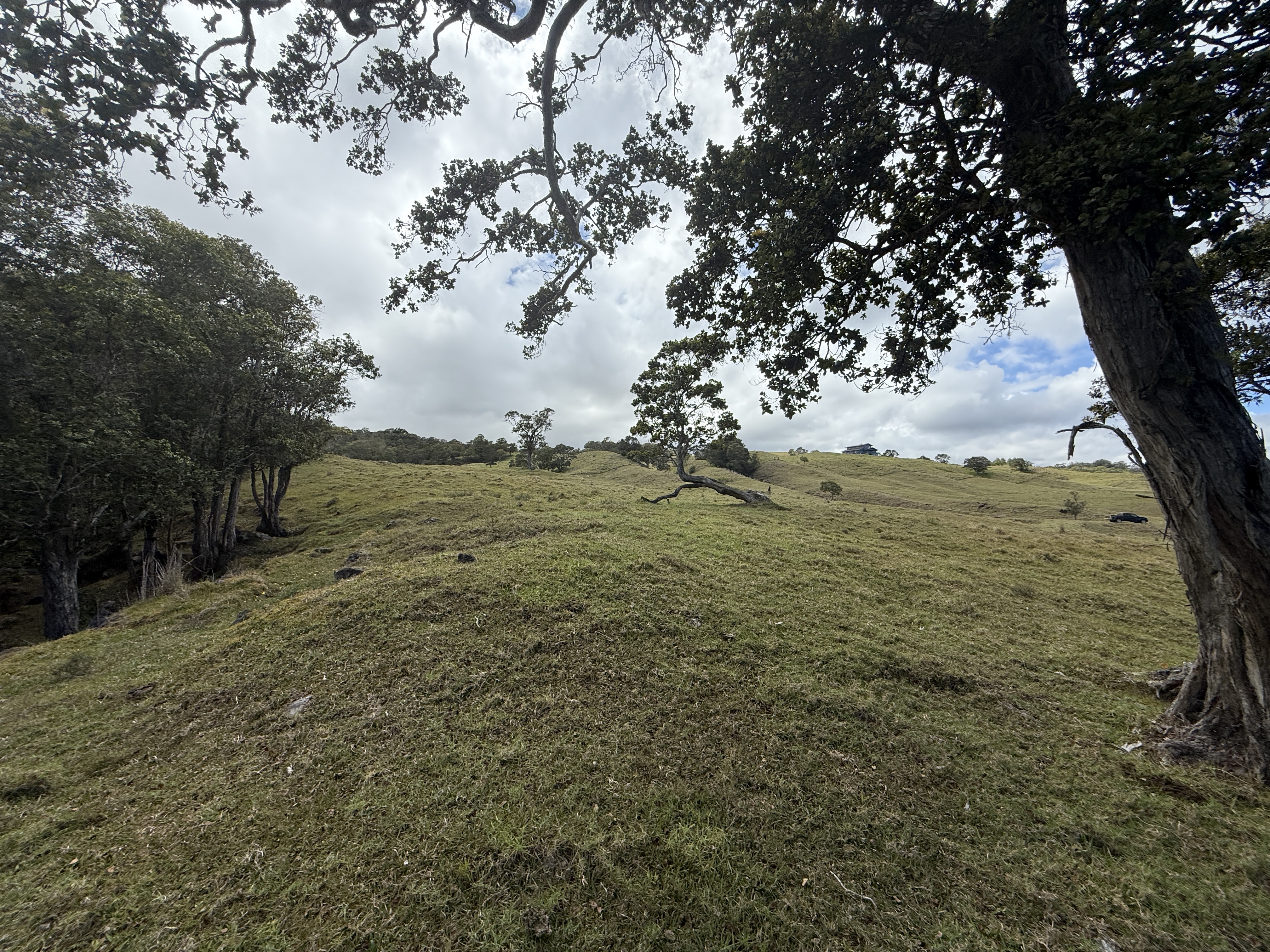 44-2135 Pohakealani Rd Property Photo 15