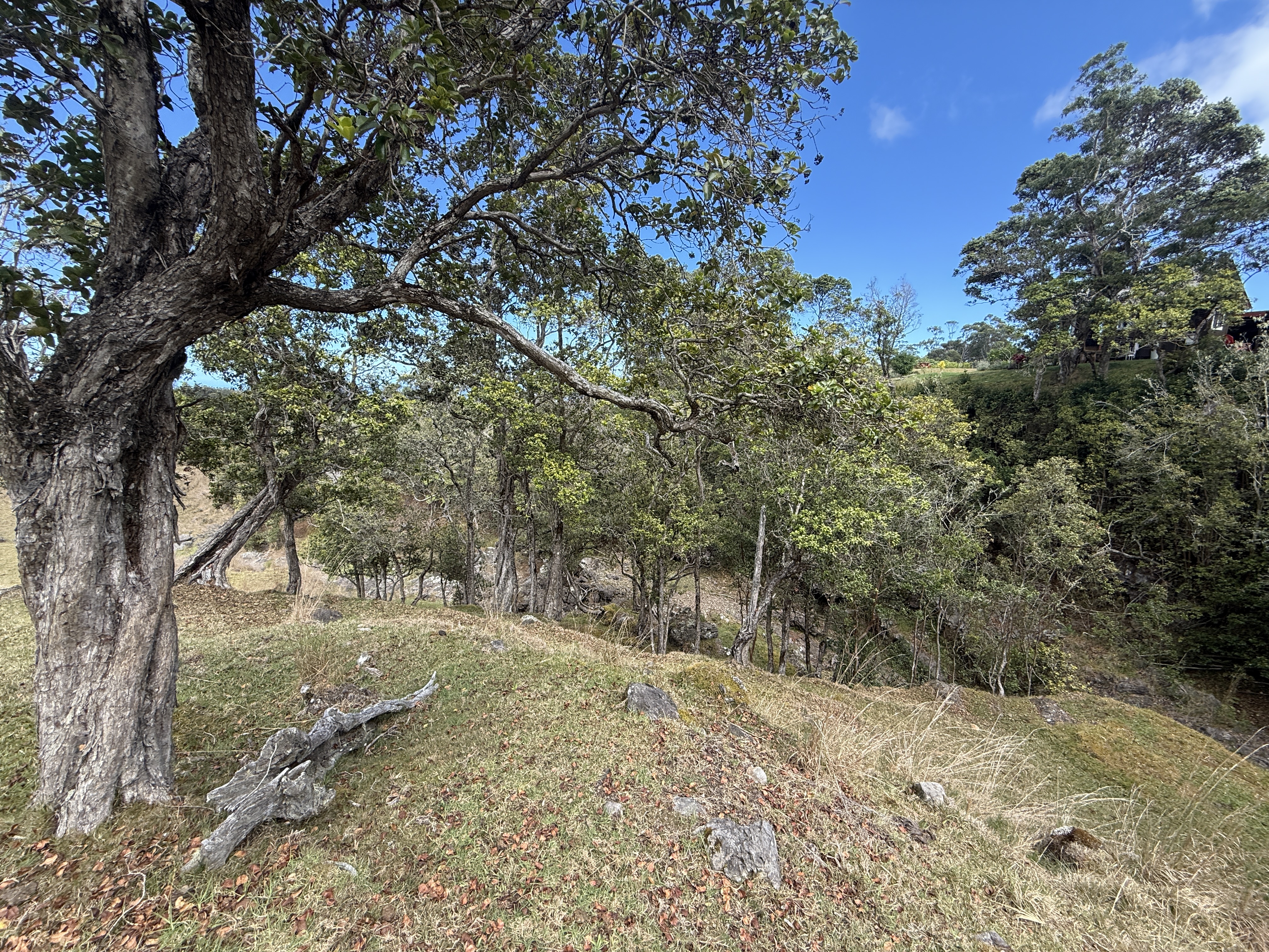 44-2135 Pohakealani Rd Property Photo 16