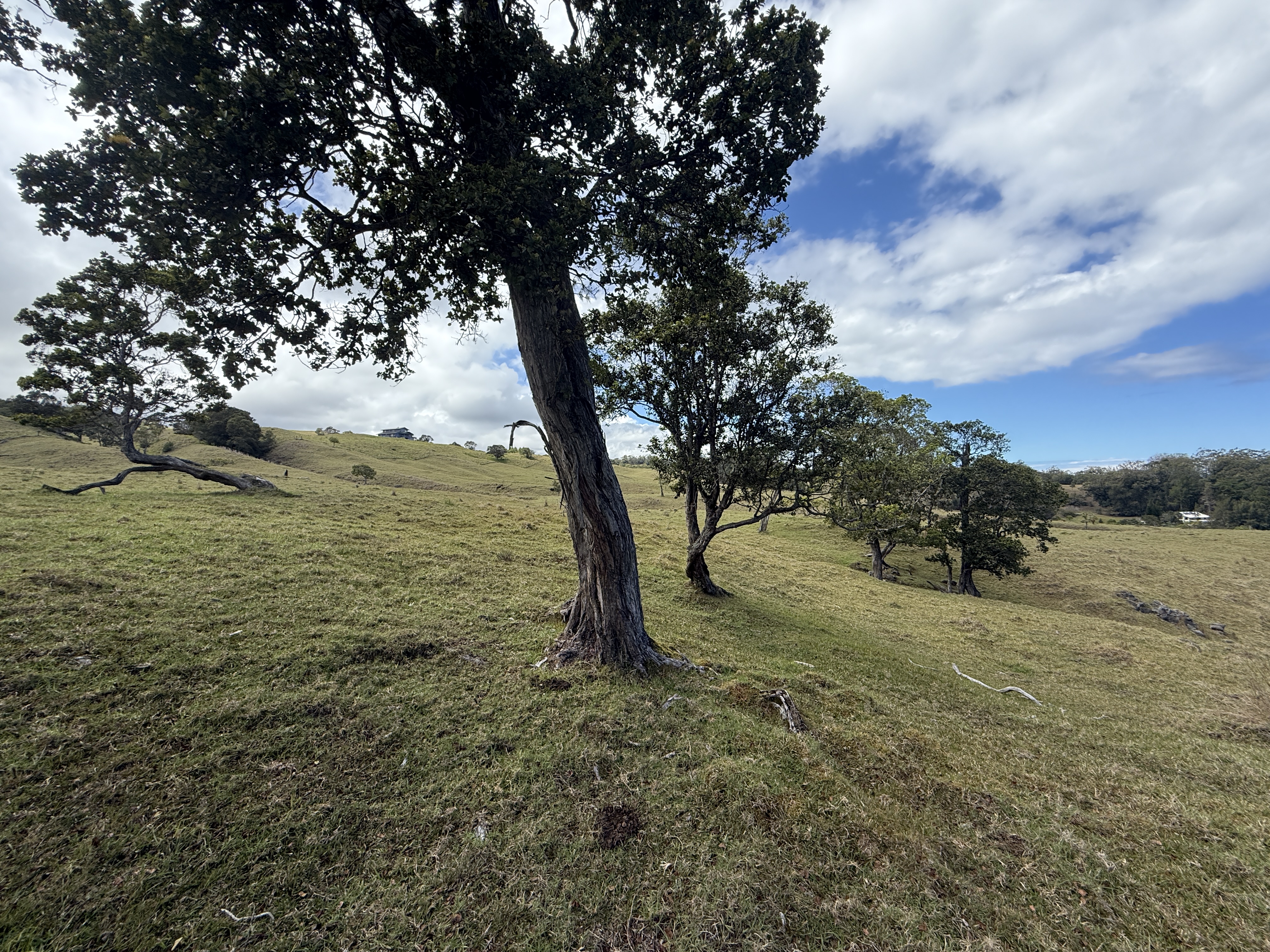 44-2135 Pohakealani Rd Property Photo 17