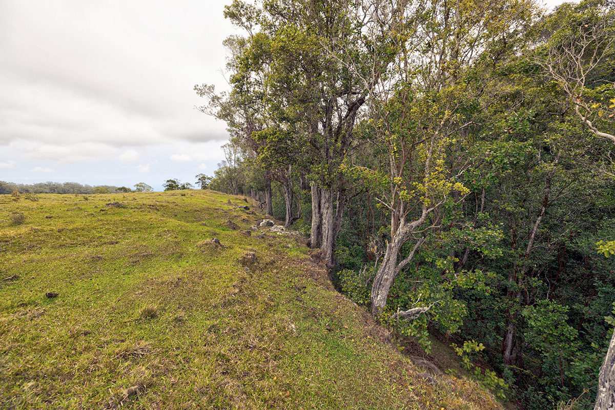 44-2135 Pohakealani Rd Property Photo 20